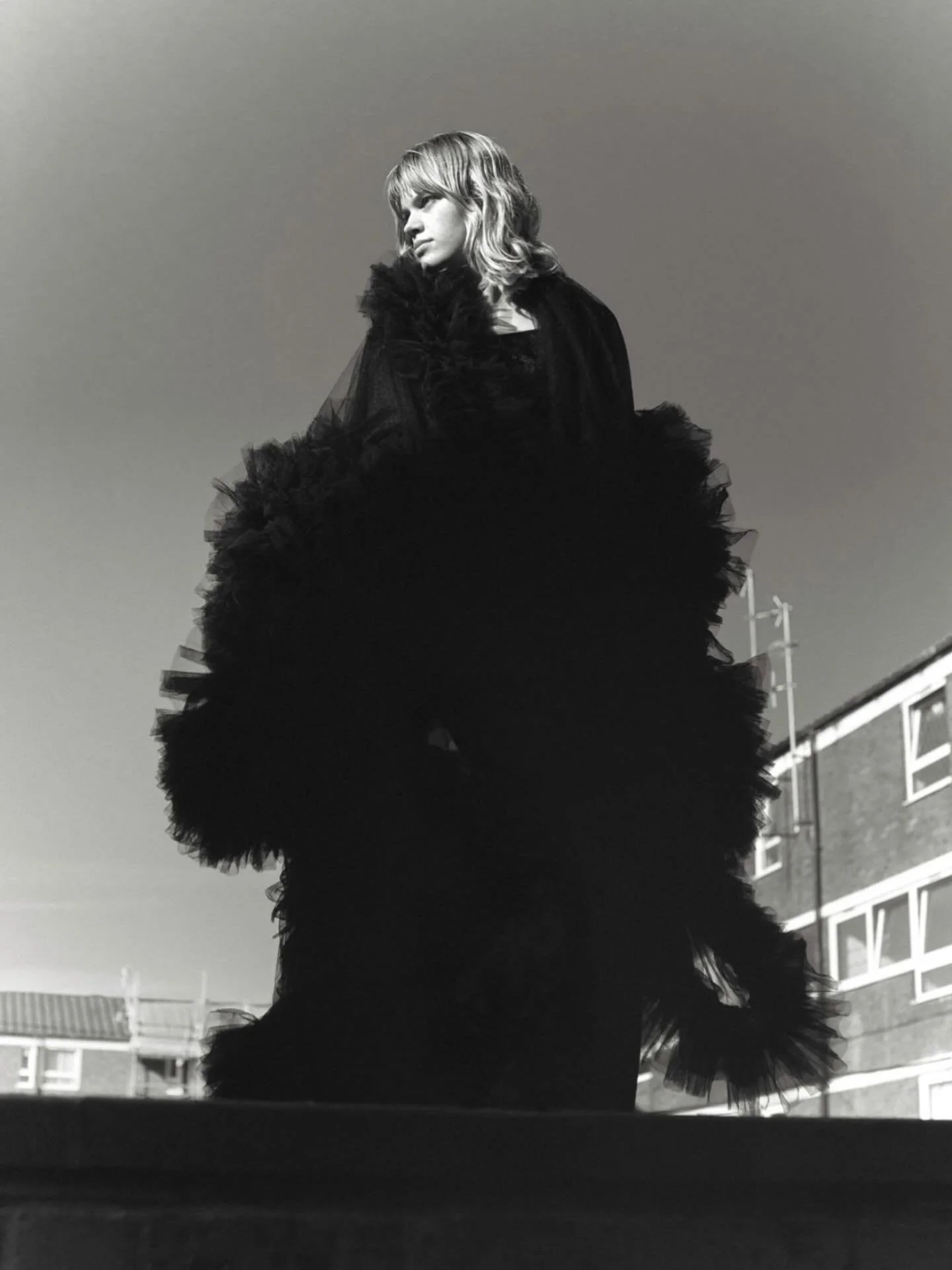 INTRODUCING / Phoebe Whittaker