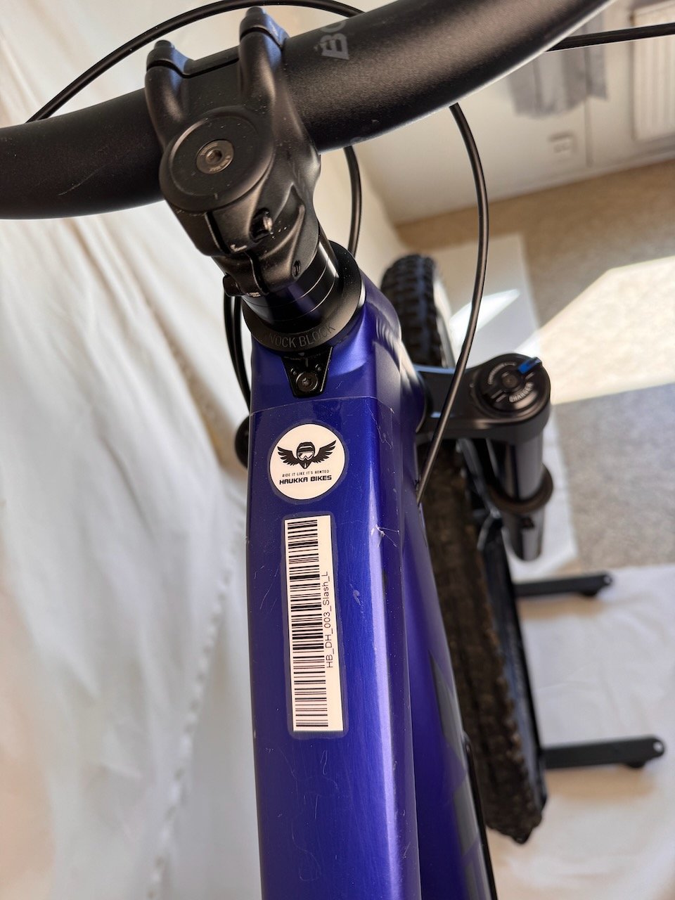 Trek Slash L - WTU263G0455T (8).jpeg