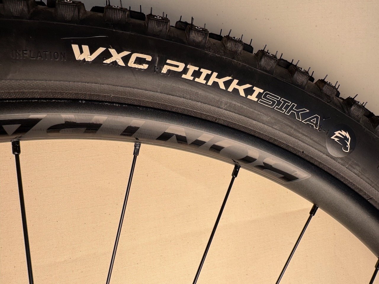 Studded Winter Tires and Rims (4).jpeg