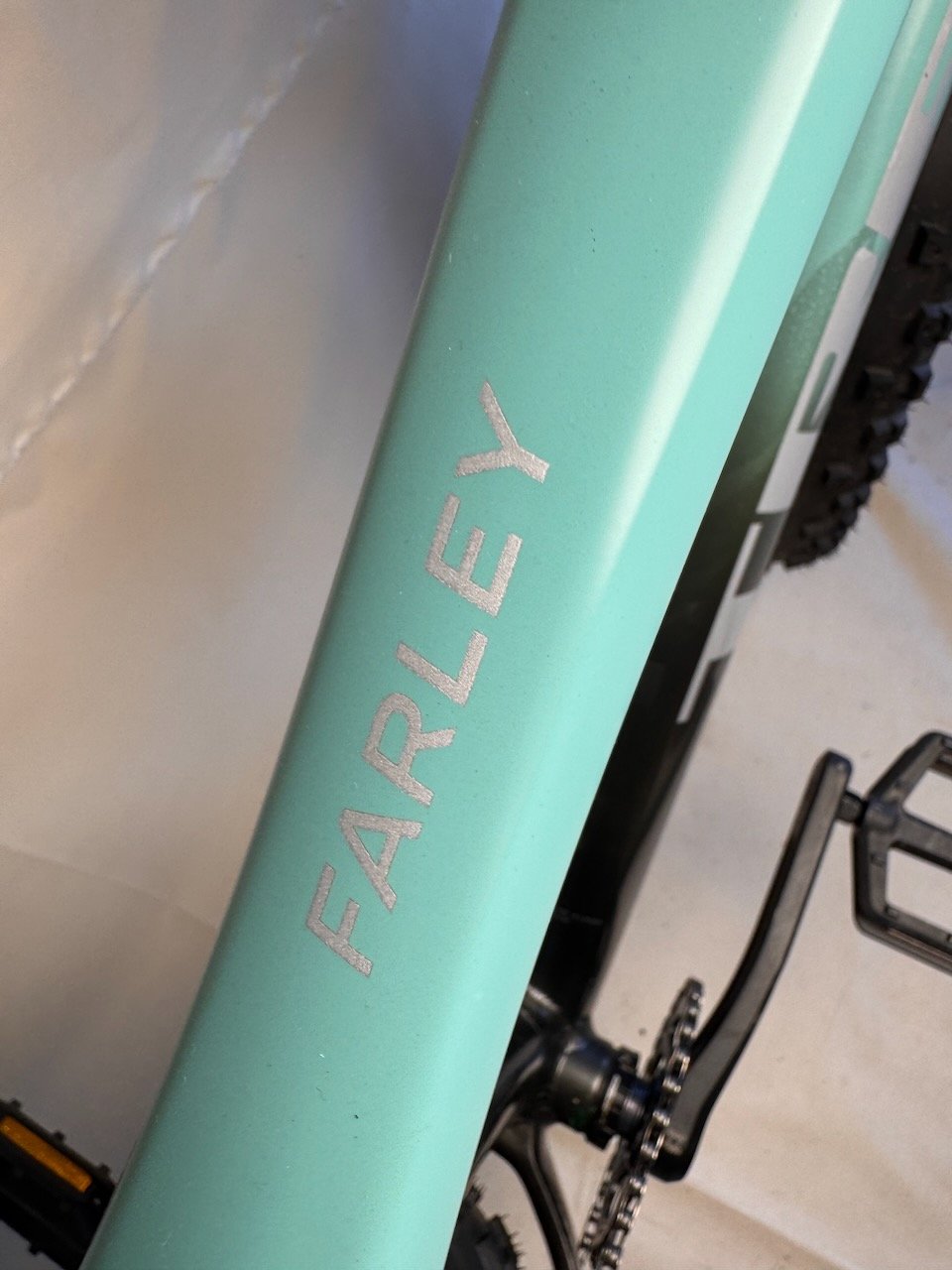 Trek Farley M - WTU107SV0351U (8).jpeg