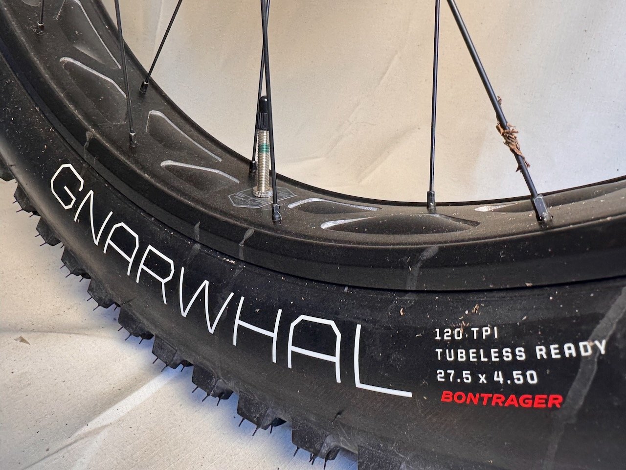 Trek Farley M - WTU107SV0351U (15).jpeg