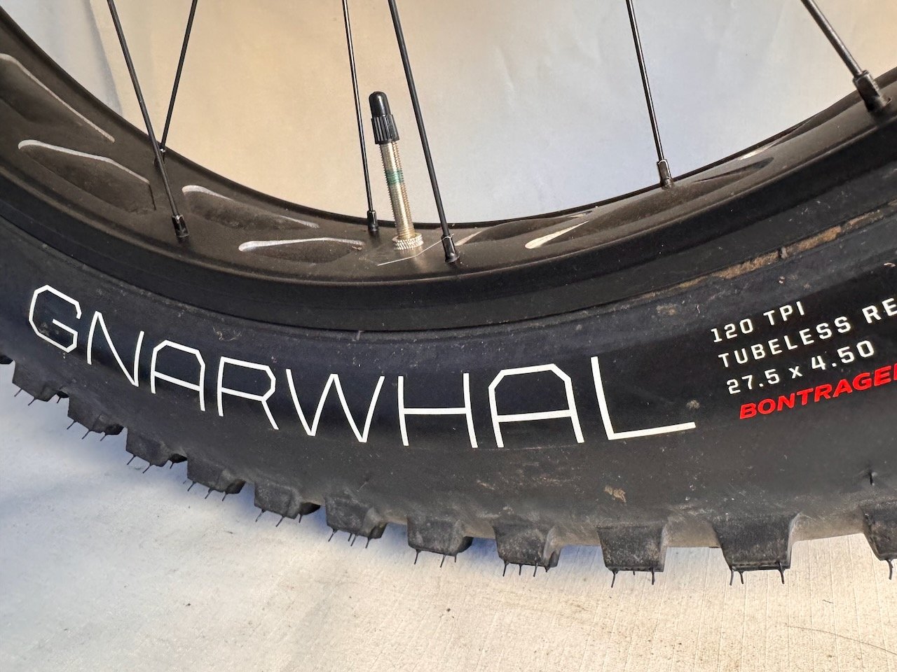 Trek Farley L - WTU044SV0484U (4).jpeg