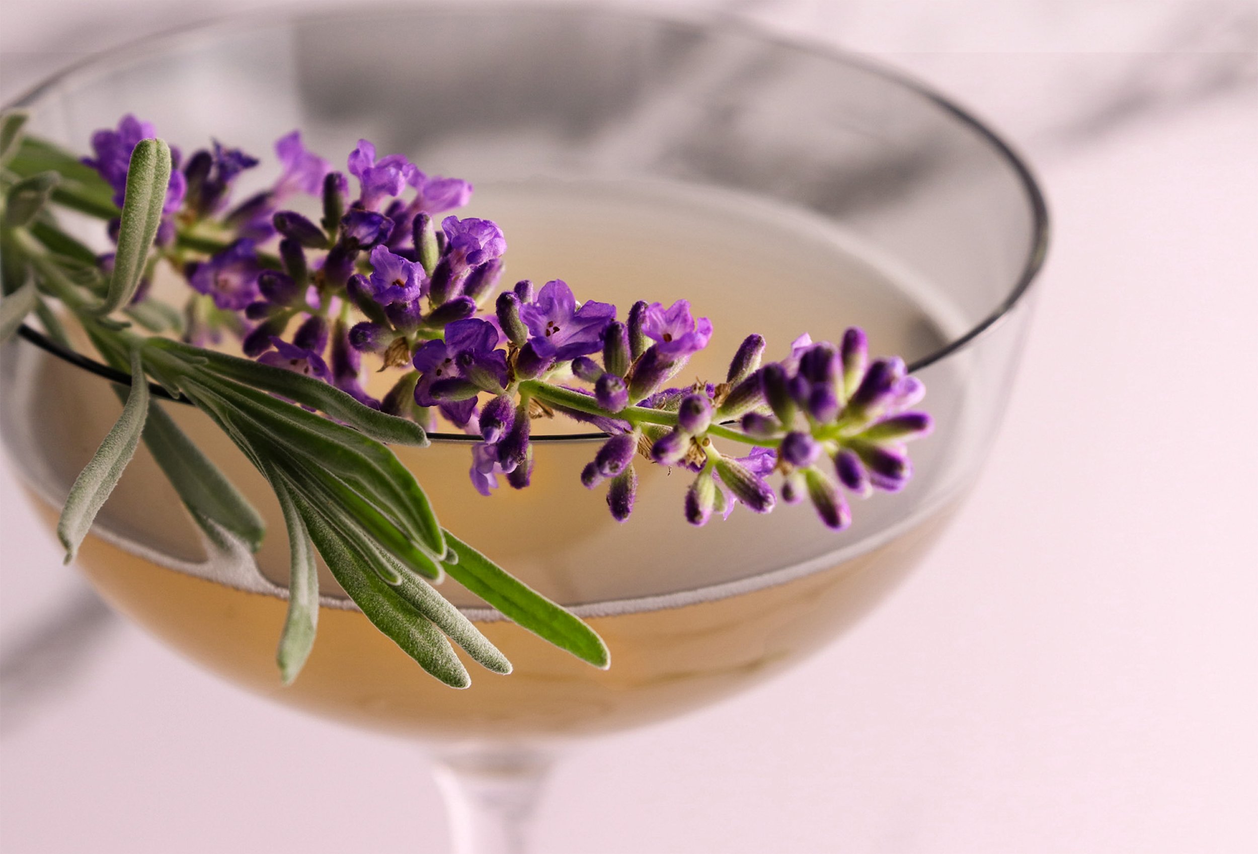 A glass cup with herbal tea garnished with purple lavender flowers and green lavender leaves on the side.