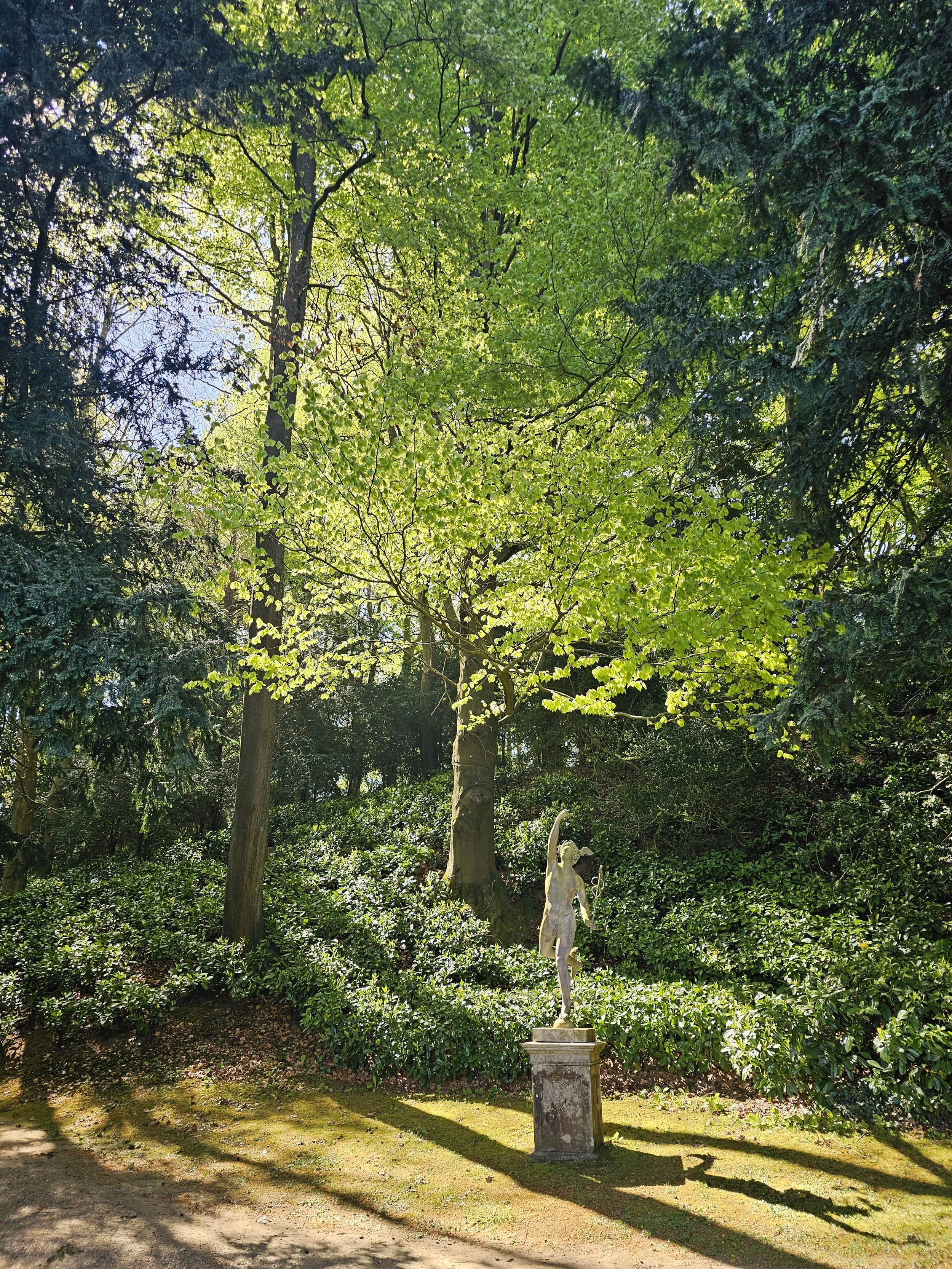 Statue of Apollo set in a wooded glade surrounded by woodland and greenery with golden creating a play of shadows.