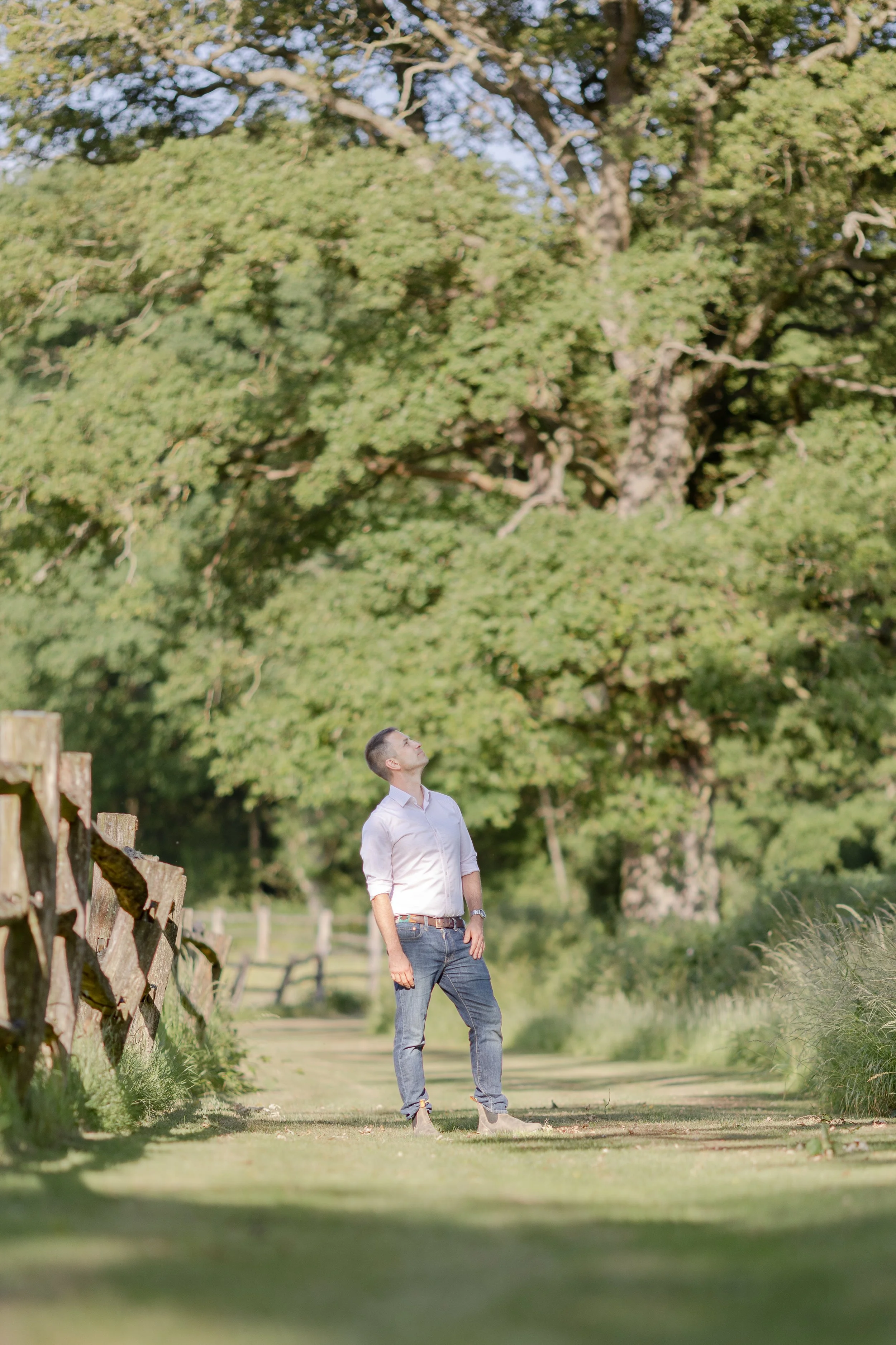 James Innes, wearing in a white shirt and jeans stands on a grassy meadow path, looking up at ancient oak trees the background, with a wooden post and rail fence on the left side of the scene.