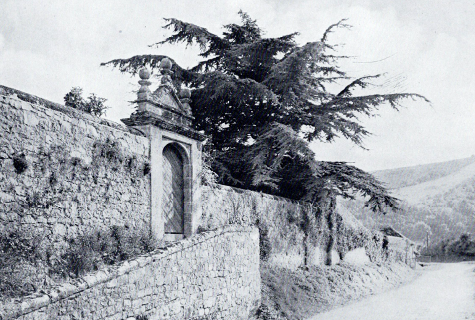 Original Arts & Crafts era stone archway designed by the great designer Thomas Mawson with old cedar tree in black and white photo.