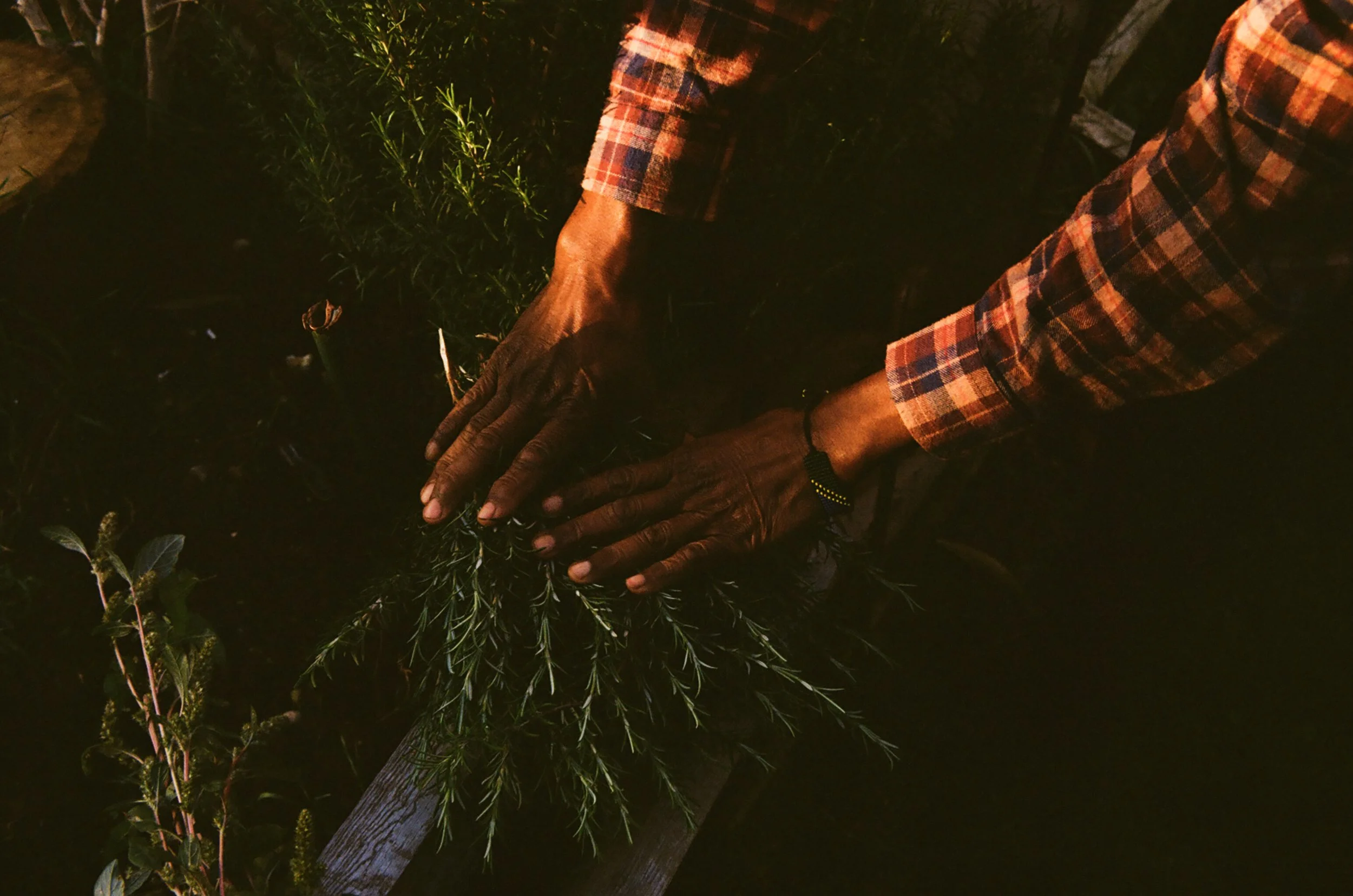 Florizel - Hut Negril