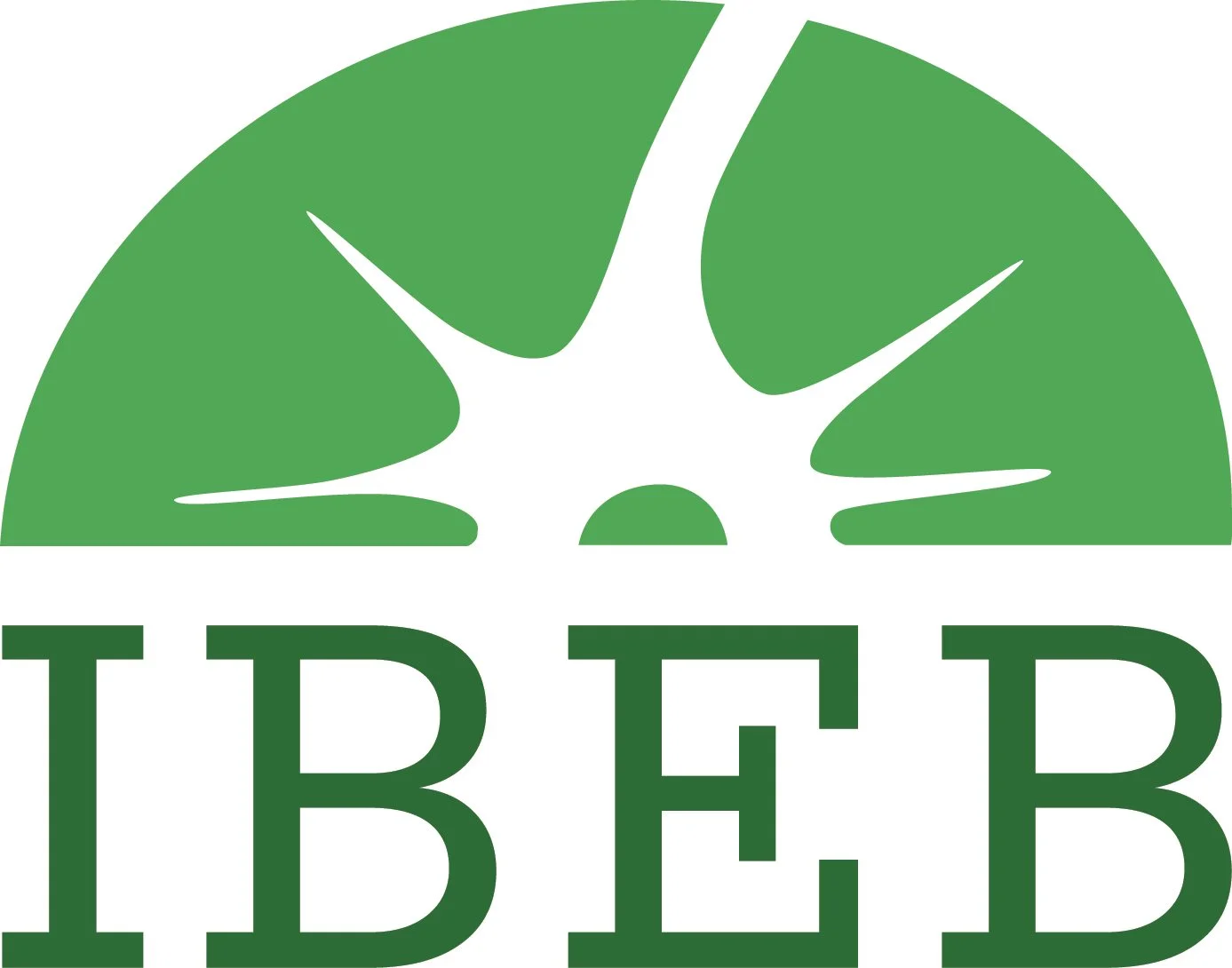 Logótipo do IBEB – Instituto de Biofísica e de Engenharia Biomédica