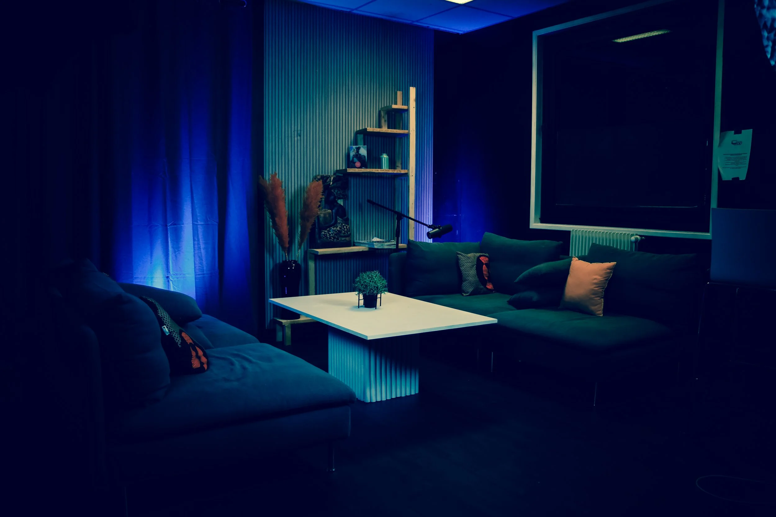 Salon cosy avec deux canapés, table basse, étagère avec livres et décoration, plantes, et éclairage tamisé avec lumière bleue.