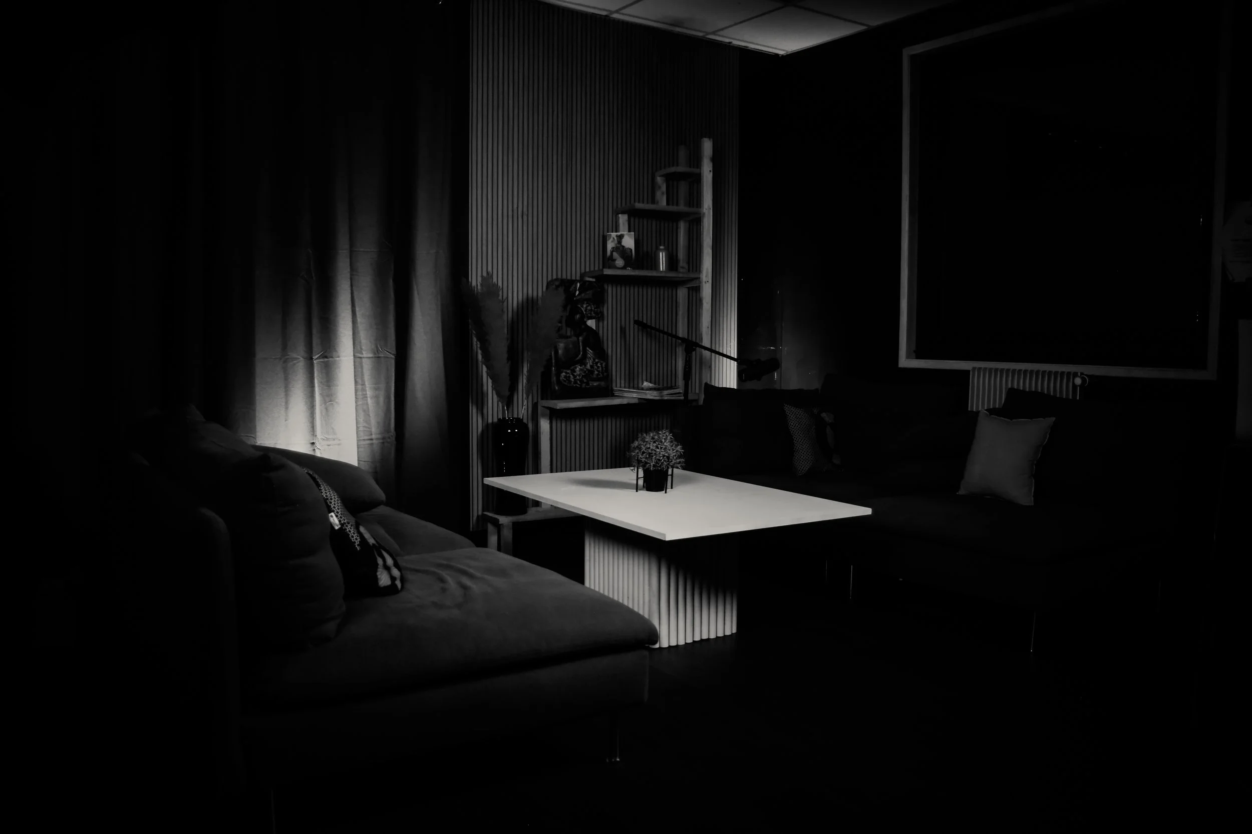 Salon sombre avec canapé, table blanche, étagères en bois, plantes décoratives, et rideaux au fond.