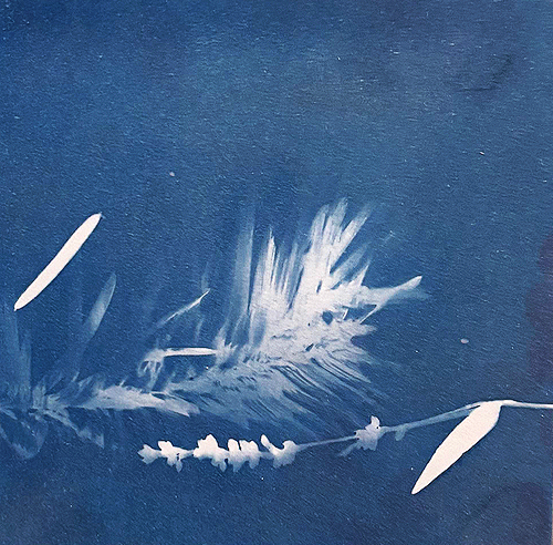 Press & Repeat: Printmaking & Bookmaking