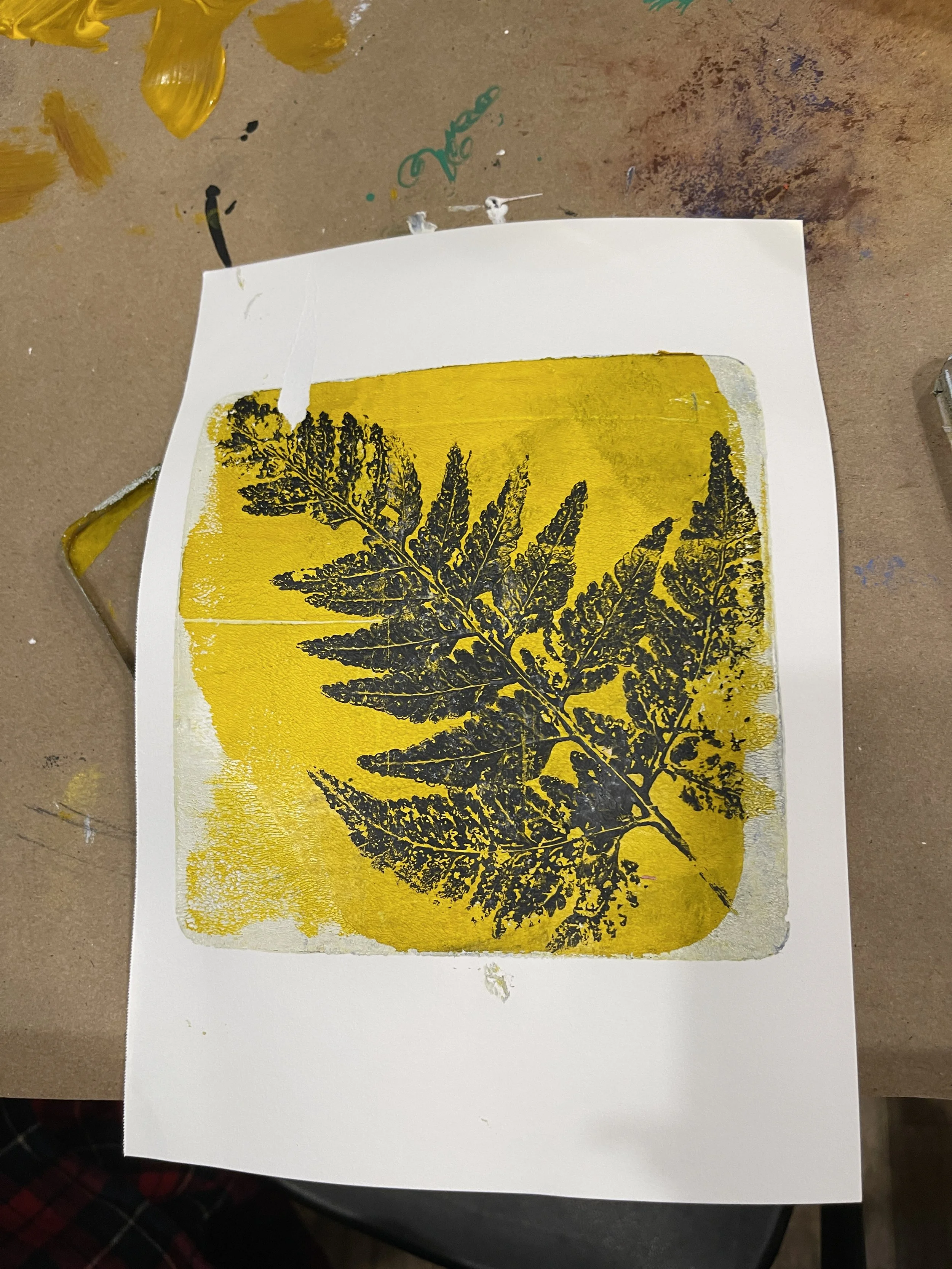 IMG_8104 - Kaili Woop.jpeg (Copy)