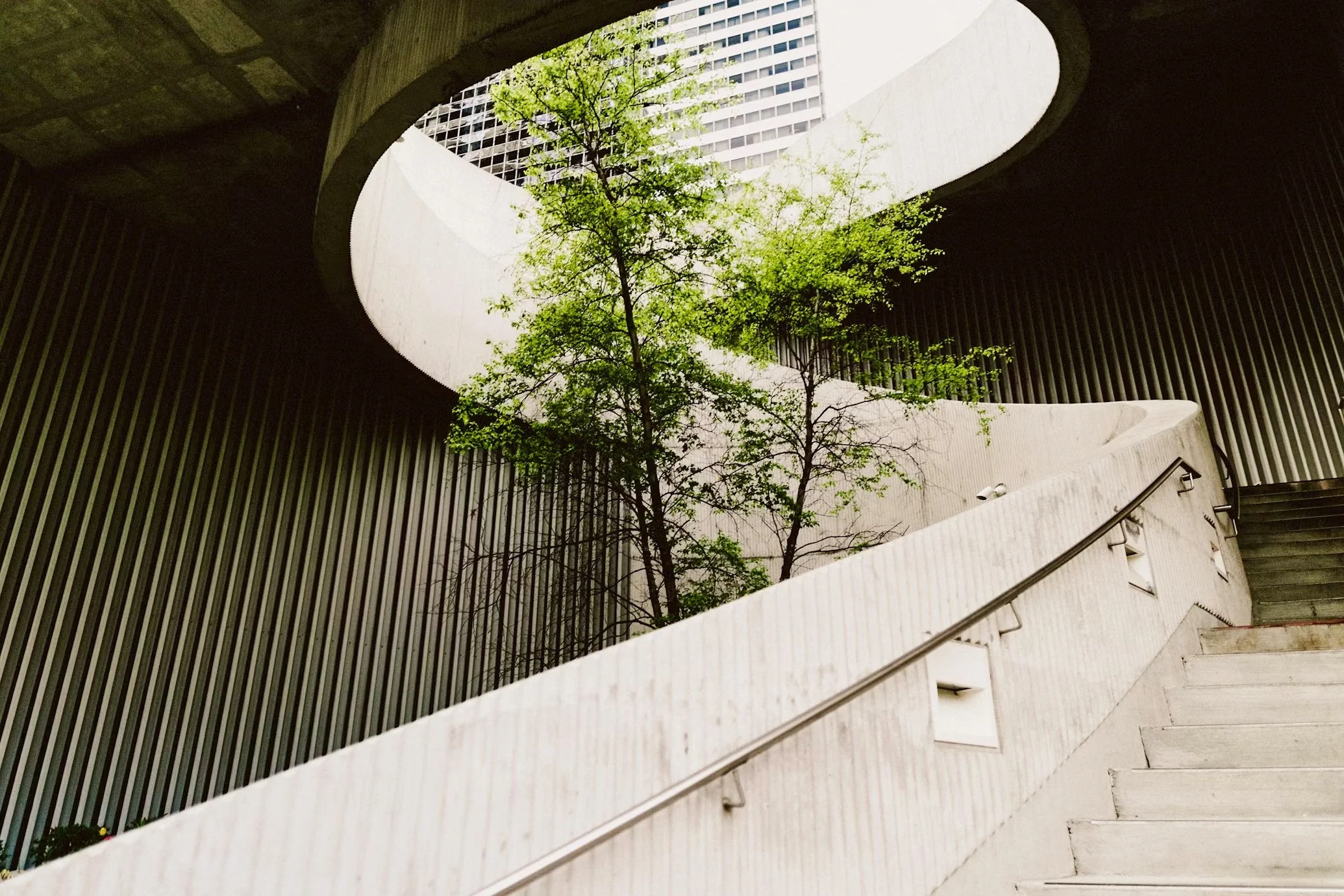 View of a modern architectural structure with curved walls and a staircase, featuring large circular openings and a tree growing in the middle, with a high-rise building visible in the background.