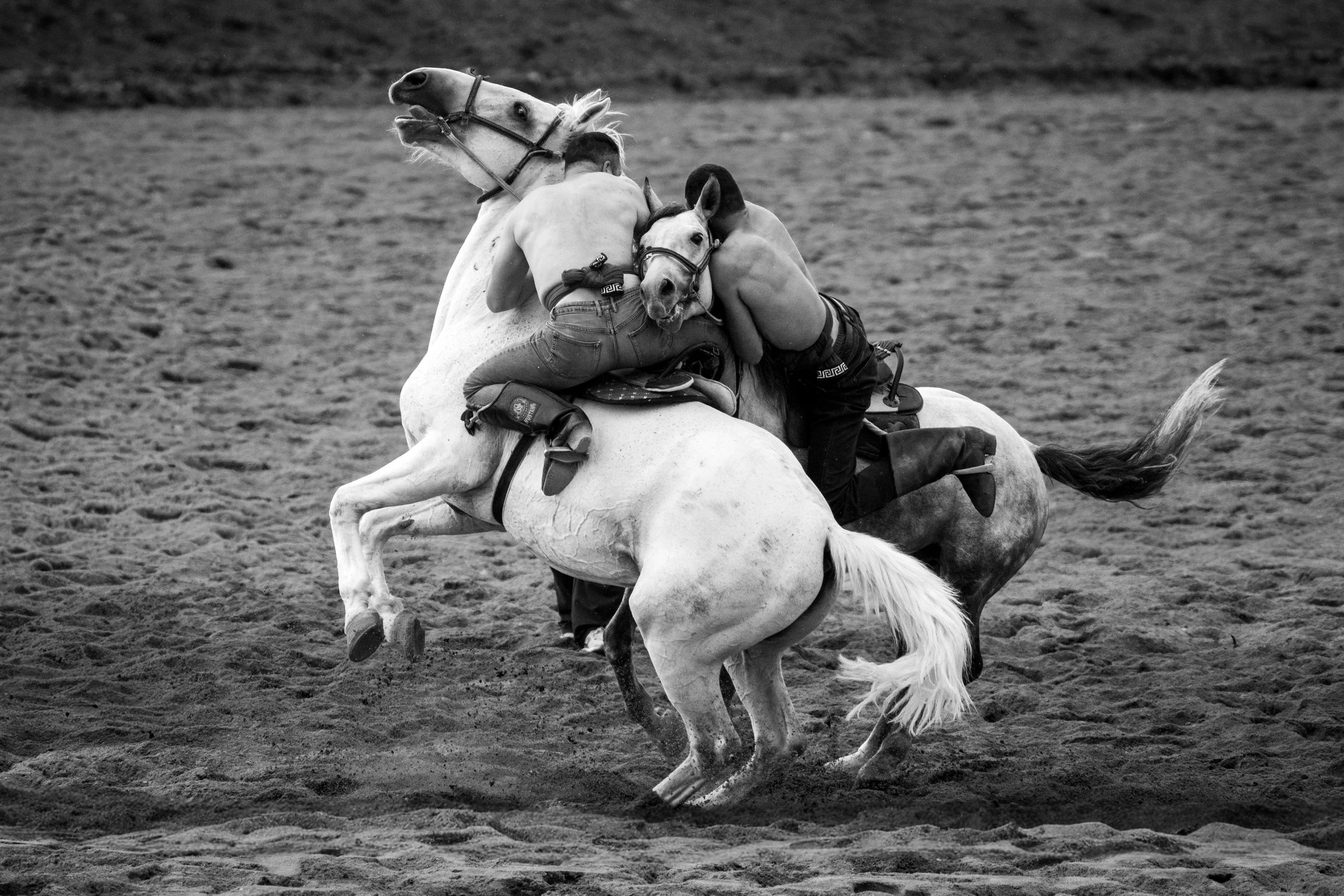 WRESTLING (2026).JPG