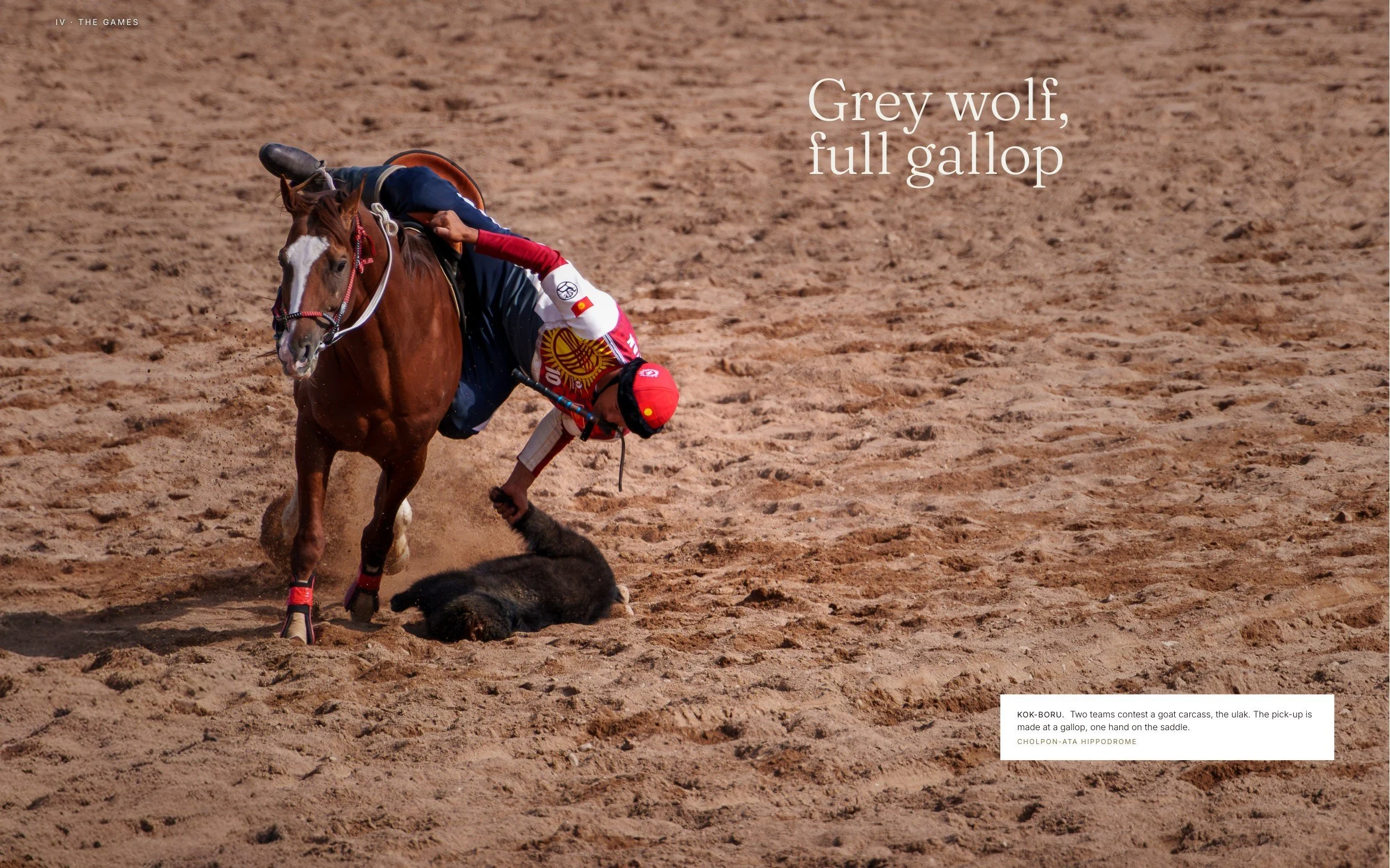 03 Spread, Grey wolf, full gallop, 2500px.jpg