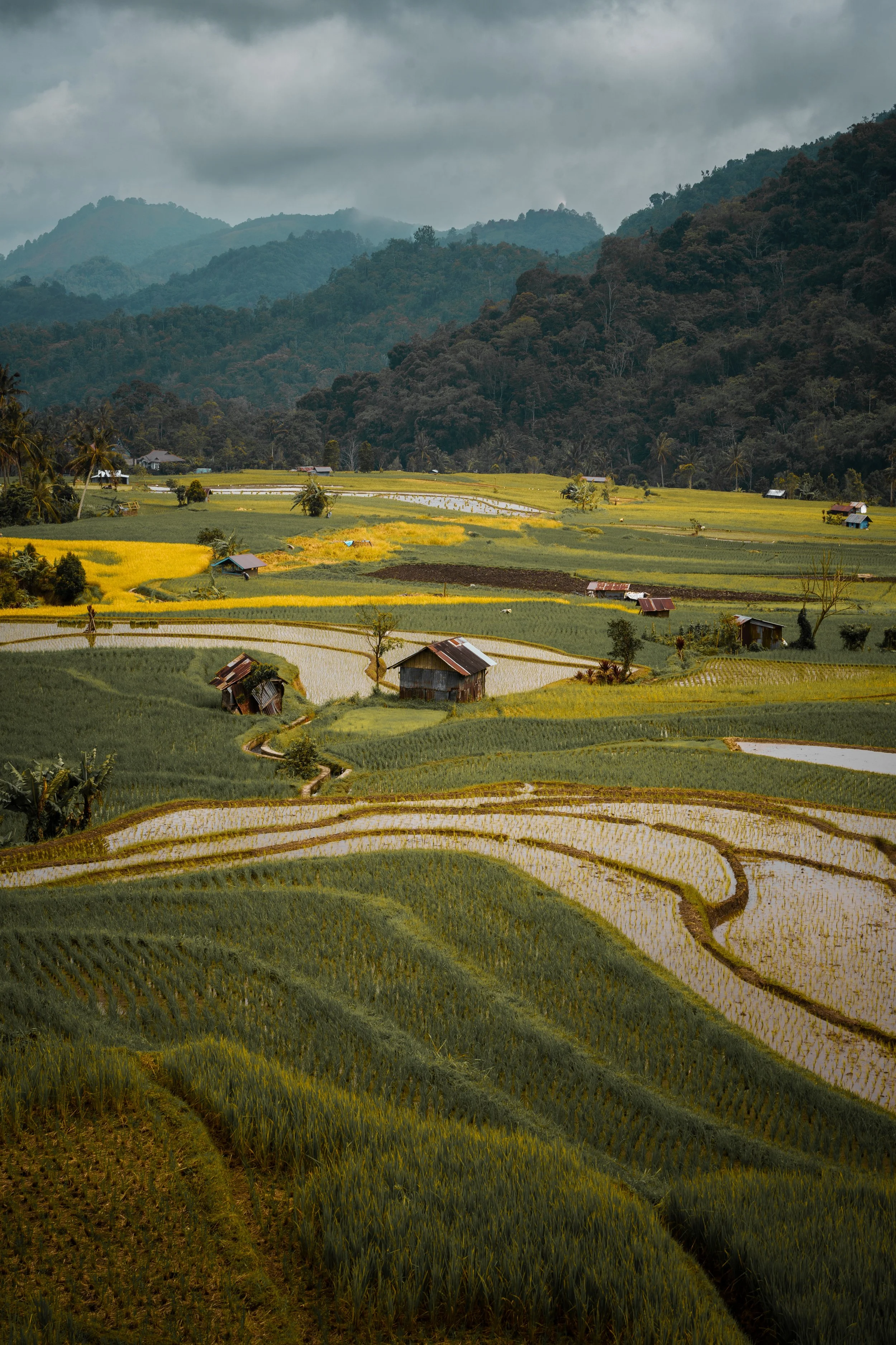 HARVEST HAVEN (2023).JPG