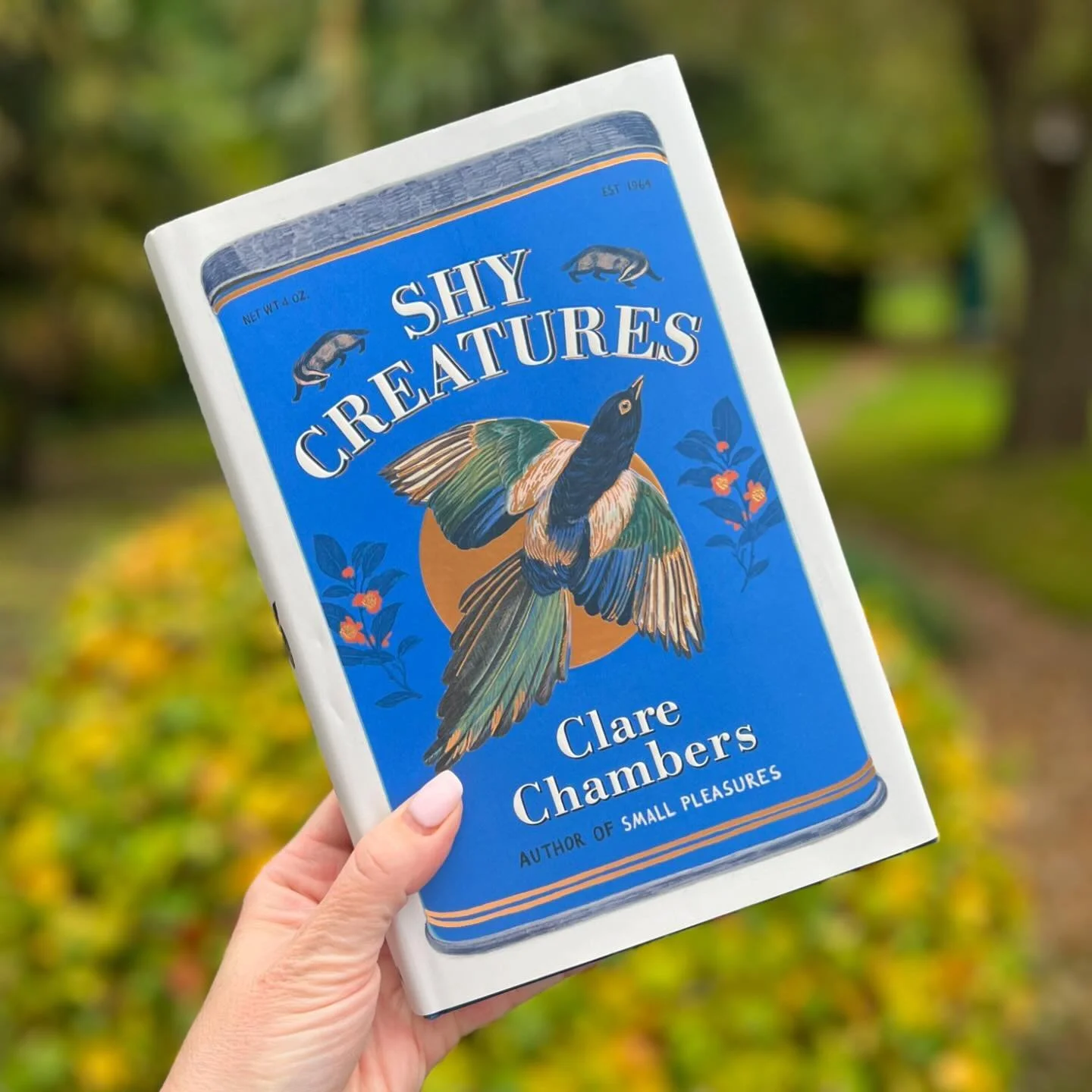 Shy Creatures, set in the 1960s tells the story of Helen, an art therapist who is investigating the background of William Tapping, a mute patient who has not left the home he shared with his aunts for decades. Helen, who has been having a long affair