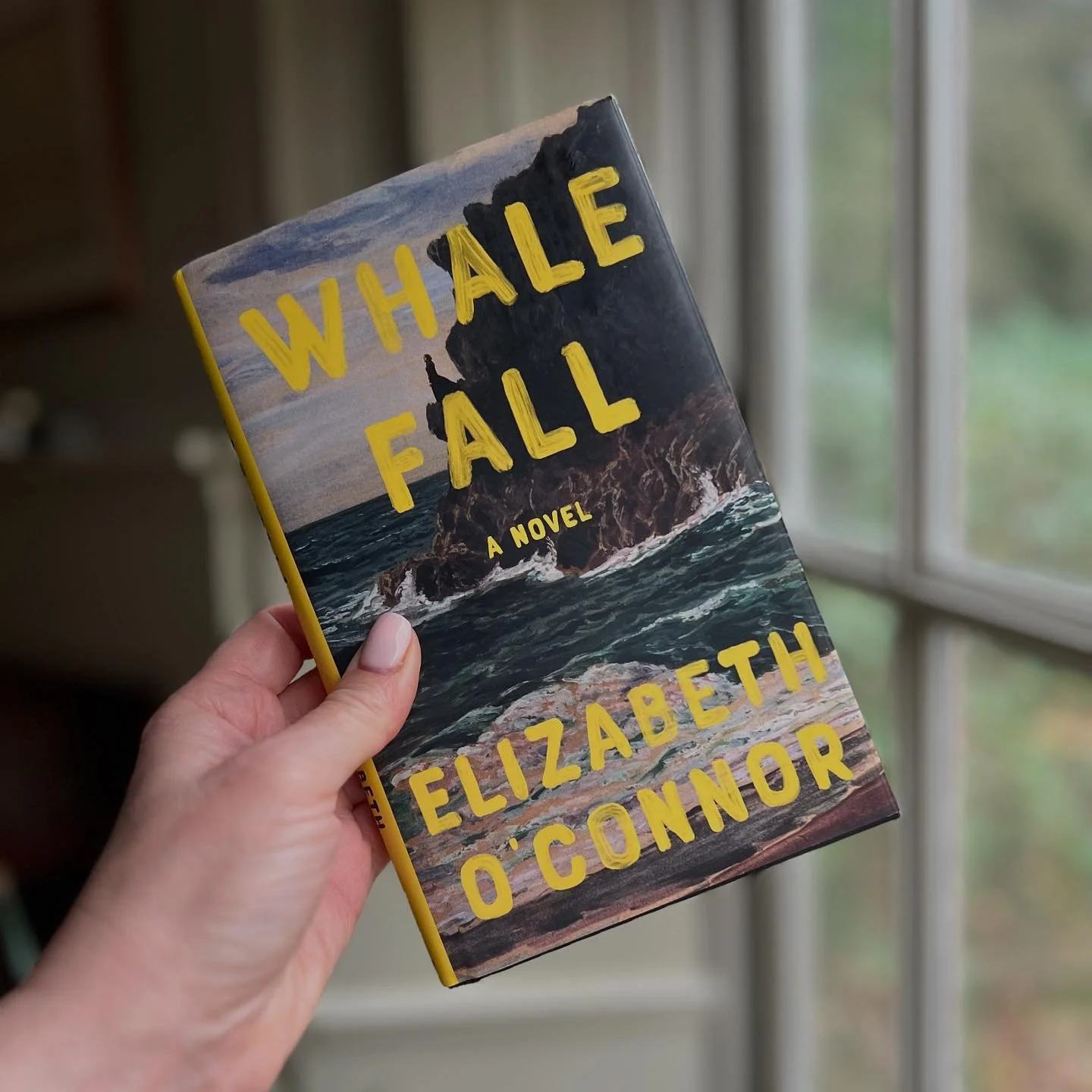 An absolute treat of a novel that I purchased in @barnesandnoble when I was in New York last month. 
It is 1938 and Manod is eighteen. She lives a hand to mouth existence on a remote island off Wales and dreams of going to university. Then two ethnog