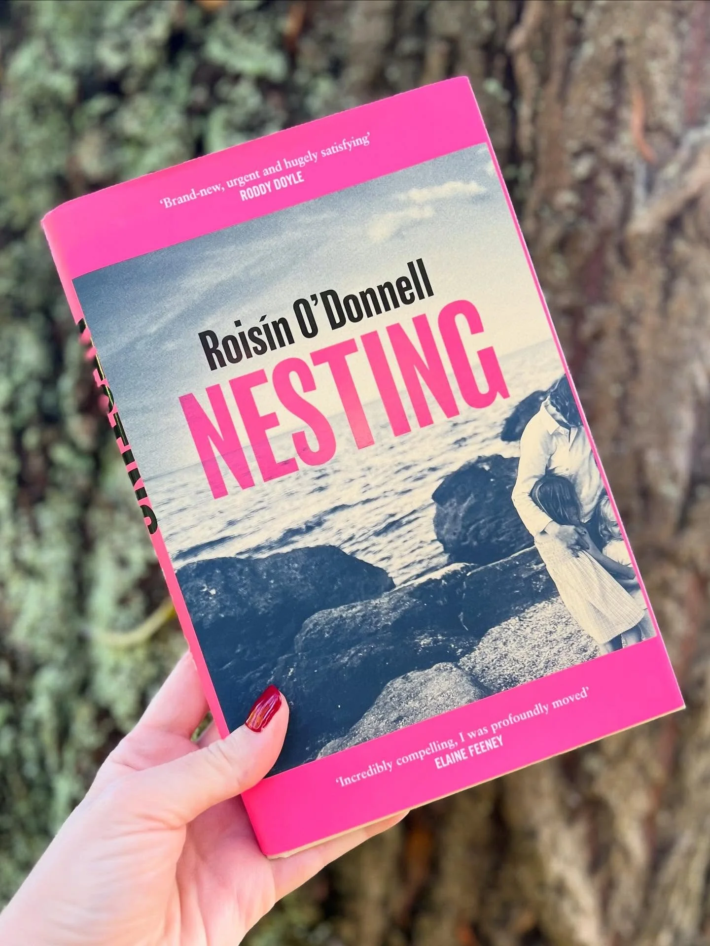 Nesting is the moving and absorbing story of pregnant mother Ciara and her attempts to free herself and her children from an abusive marriage. Set in Dublin in 2018, the novel explores themes of control and coercion, social inequality, homelessness, 