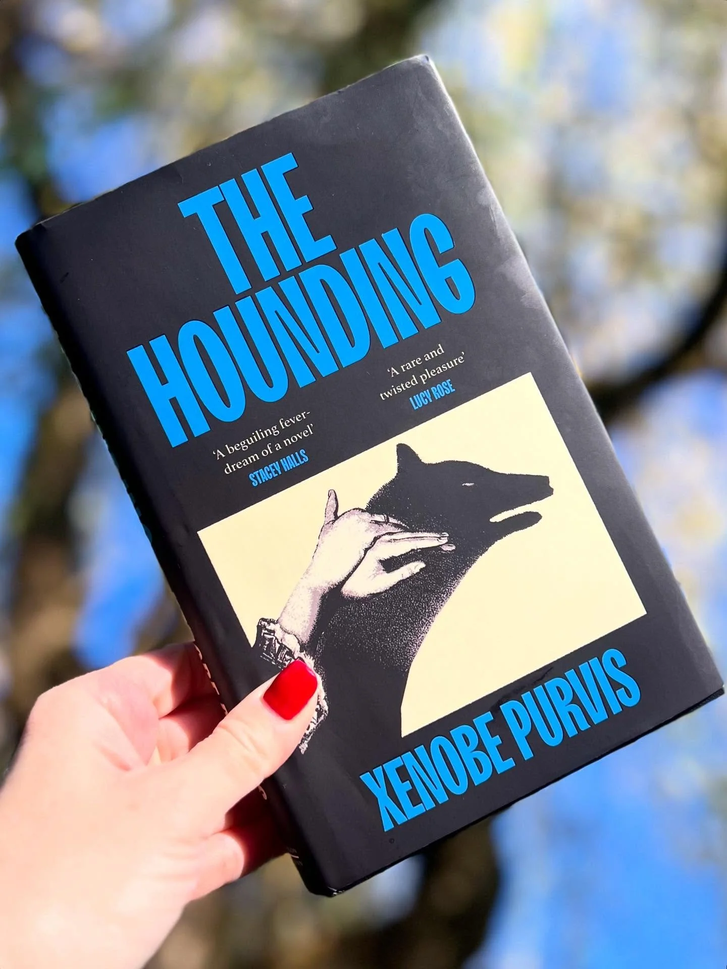 A richly atmospheric novel in which five sisters - granddaughters of an unpopular farmer who is going blind - are accused by their village of transforming into dogs. The story (gorgeously written) is taut with fear and uncertainty. Rather than tellin