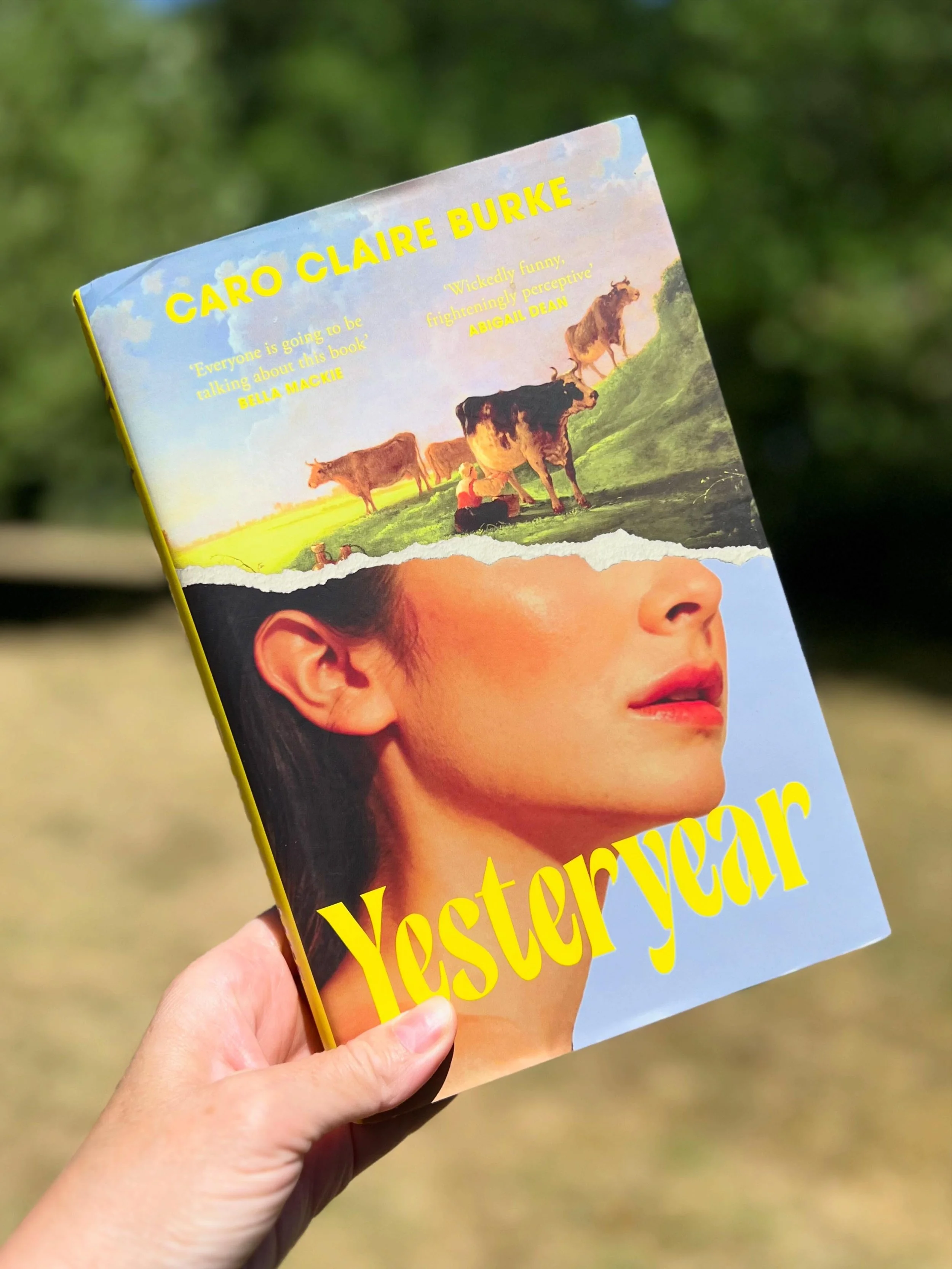 Is this the book of the summer? Probably! 
It&rsquo;s the story of a modern-day &lsquo;trad wife&rsquo; influencer who lives a seemingly idyllic existence on a farm. But when she is suddenly transported to the past and forced to live the grim life of