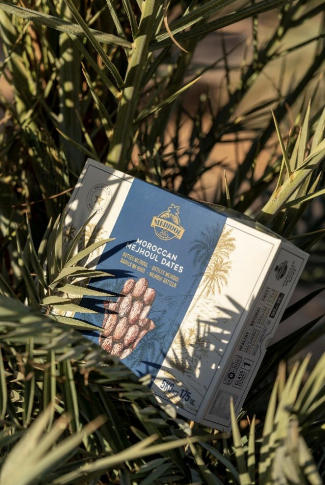 Capture d’écran 2024-07-08 à 18.56.31.png