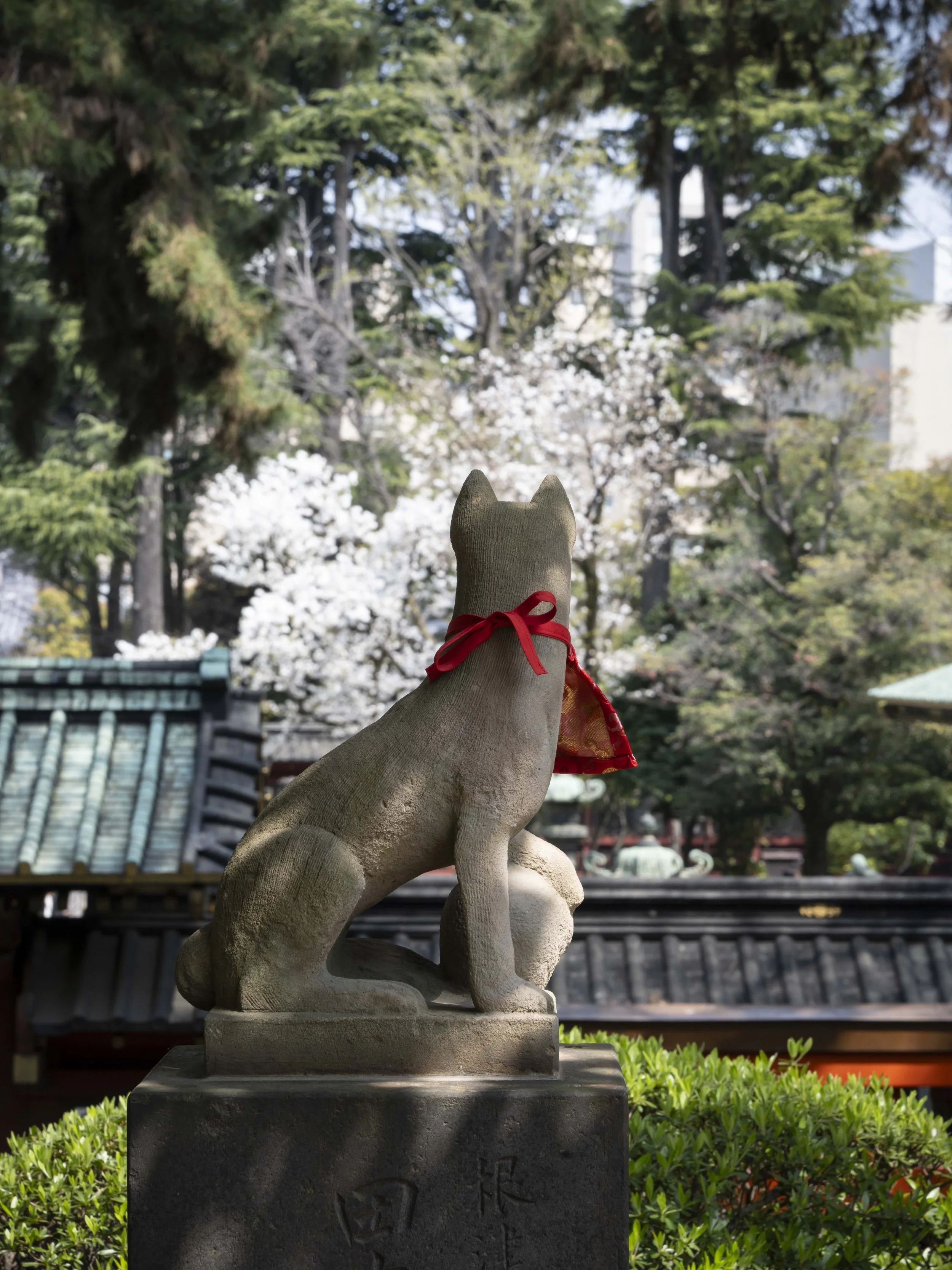 Voyage à l'intérieur-2.jpg