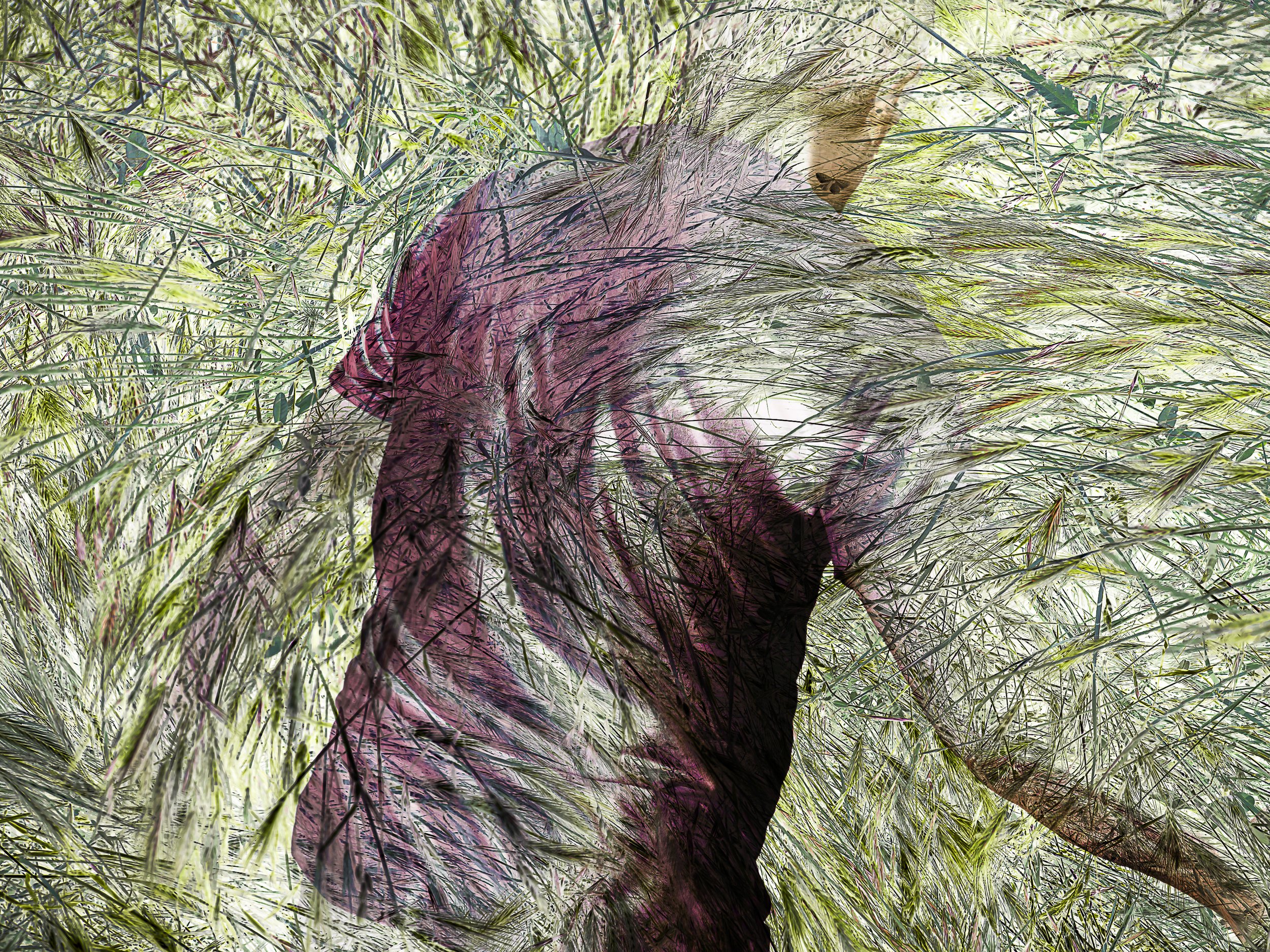 G Homme Végétal 23 12 25-11.jpg