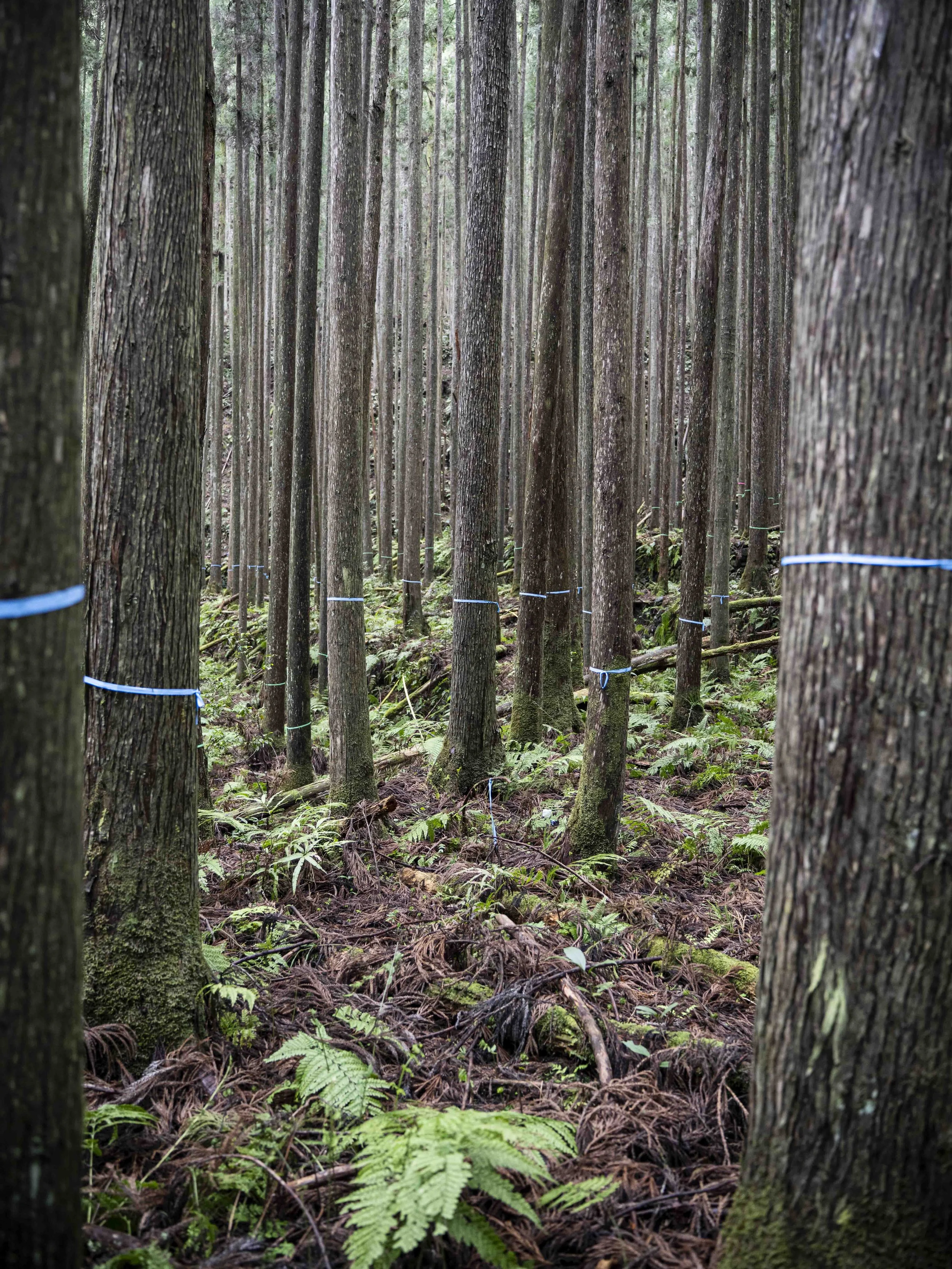 Voyage à l'intérieur-15.jpg