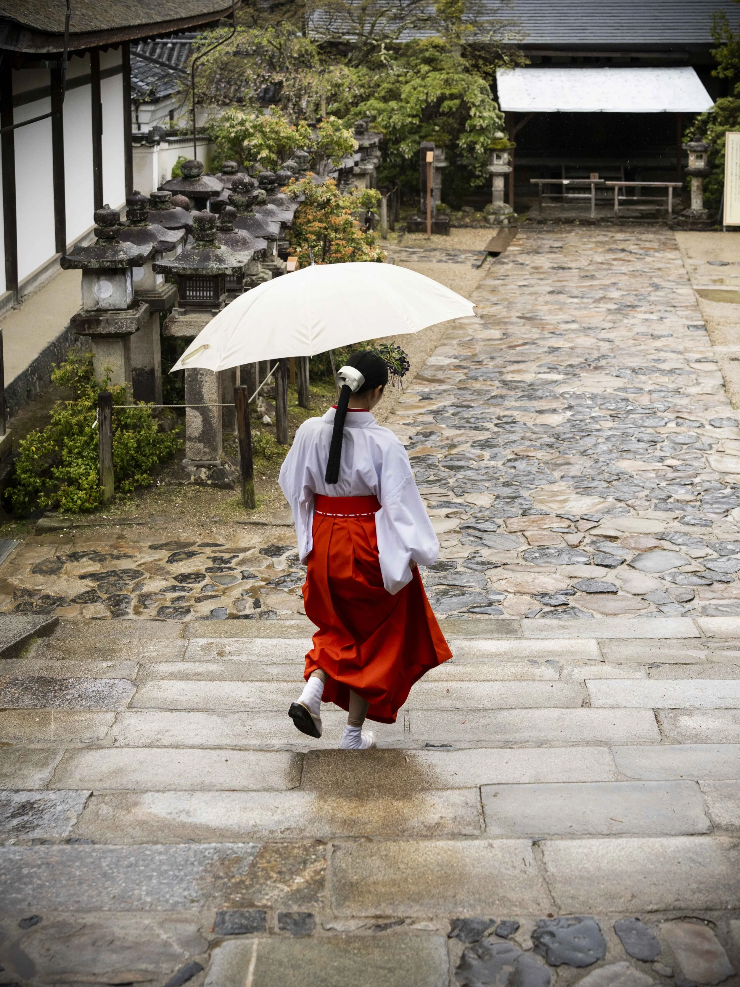 Voyage à l'intérieur-7.jpg