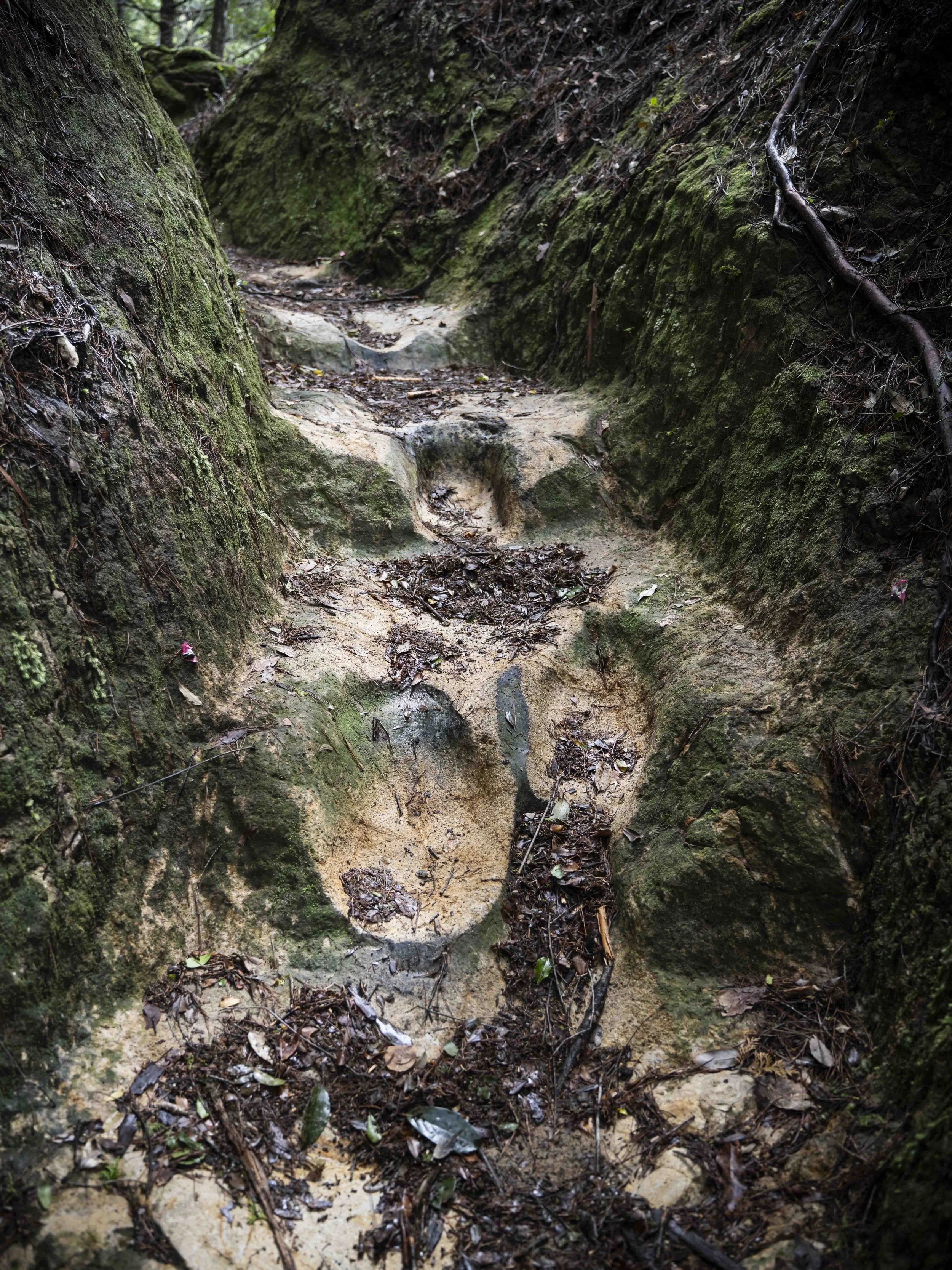 Voyage à l'intérieur-13.jpg