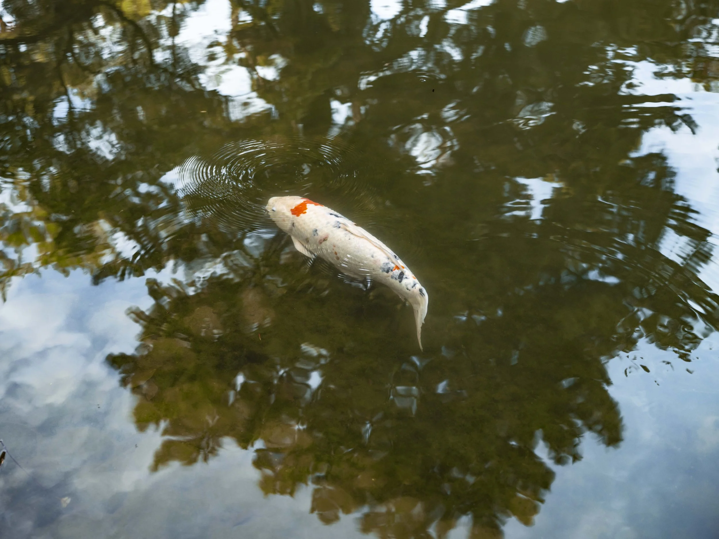 Voyage à l'intérieur-19.jpg