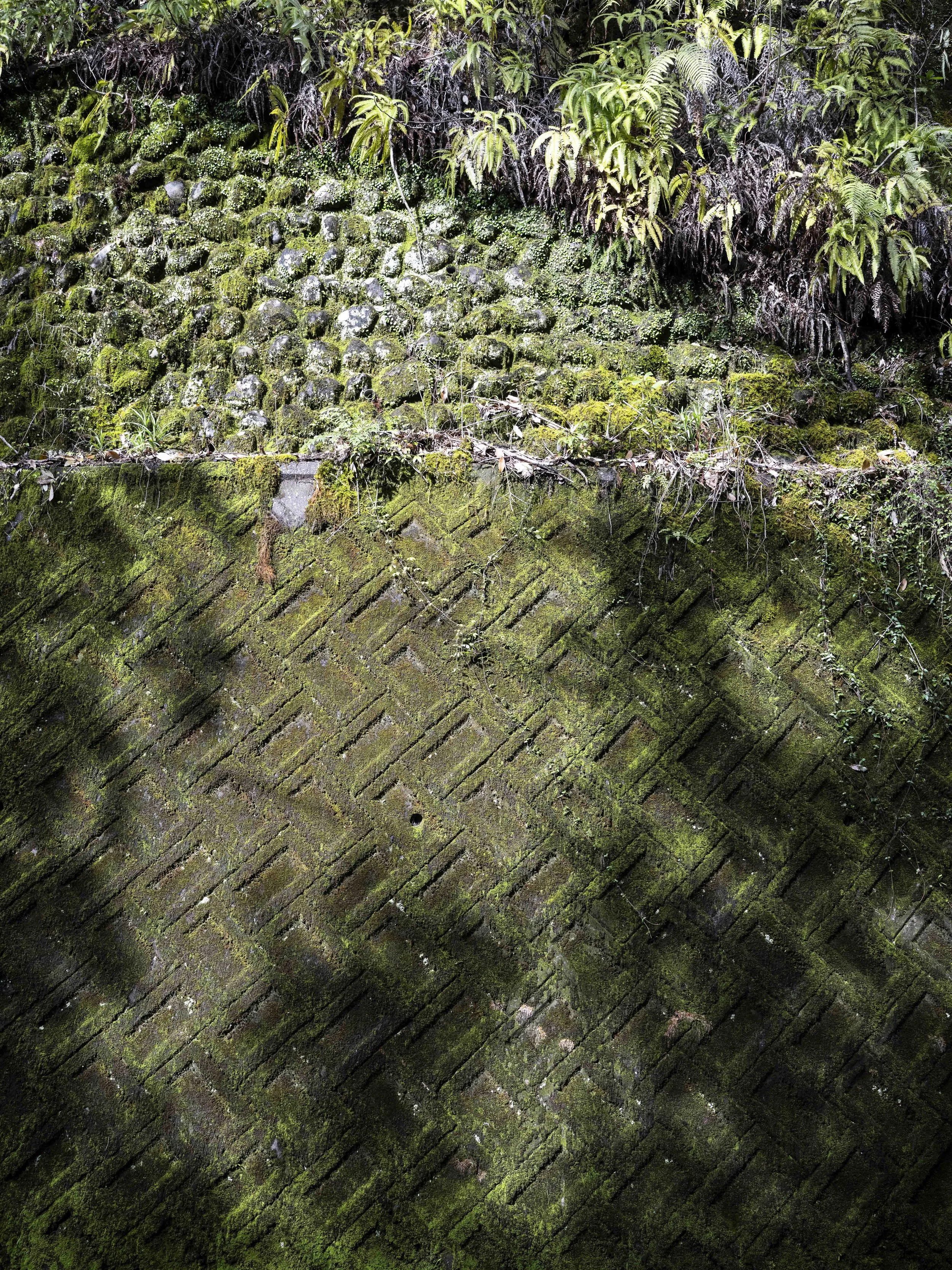 Voyage à l'intérieur-16.jpg