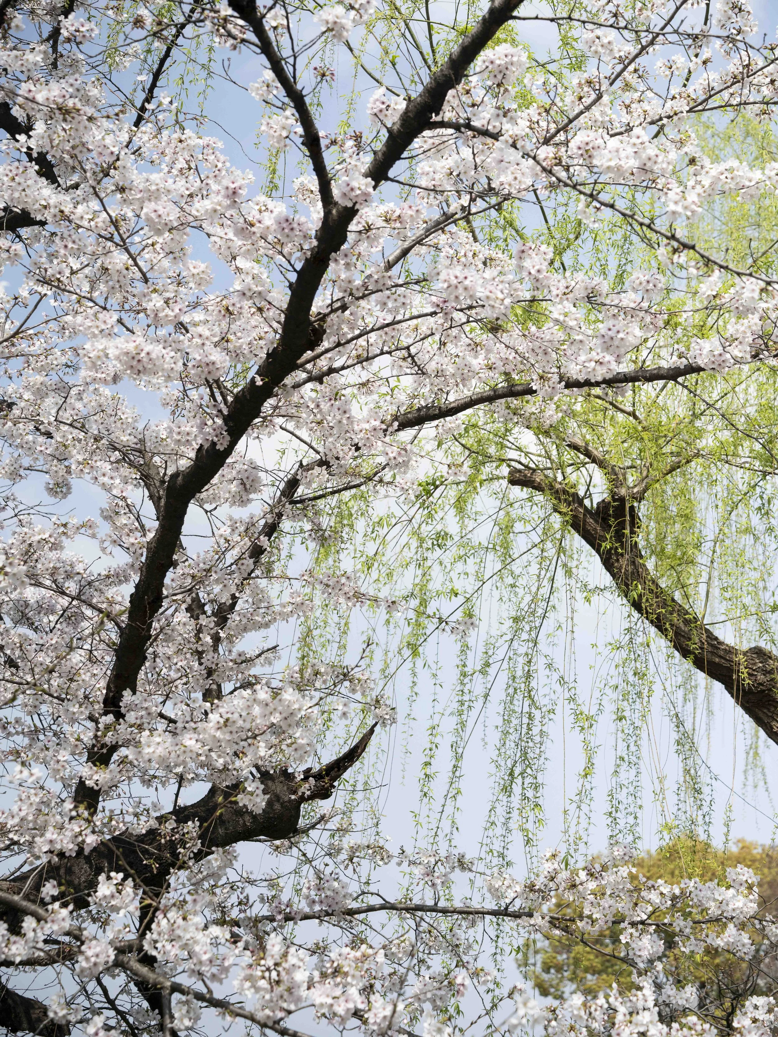 Voyage à l'intérieur-4.jpg