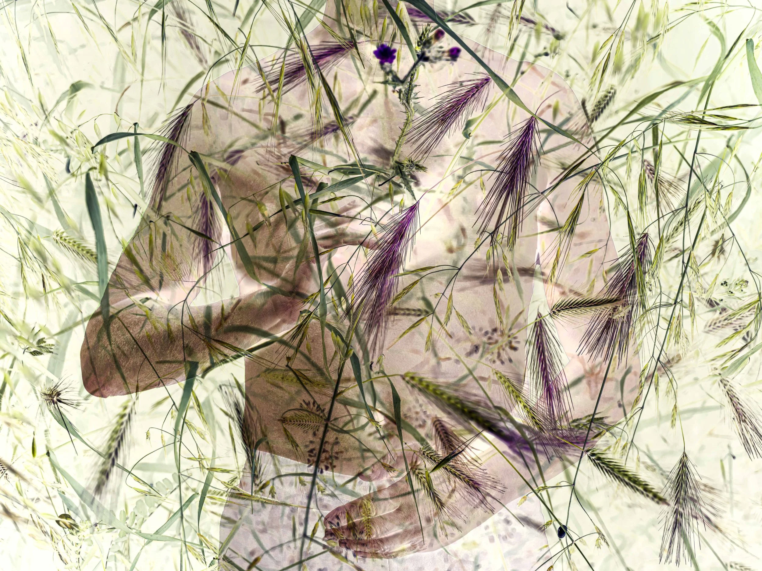 M Homme Végétal 07 01 26-2.jpg