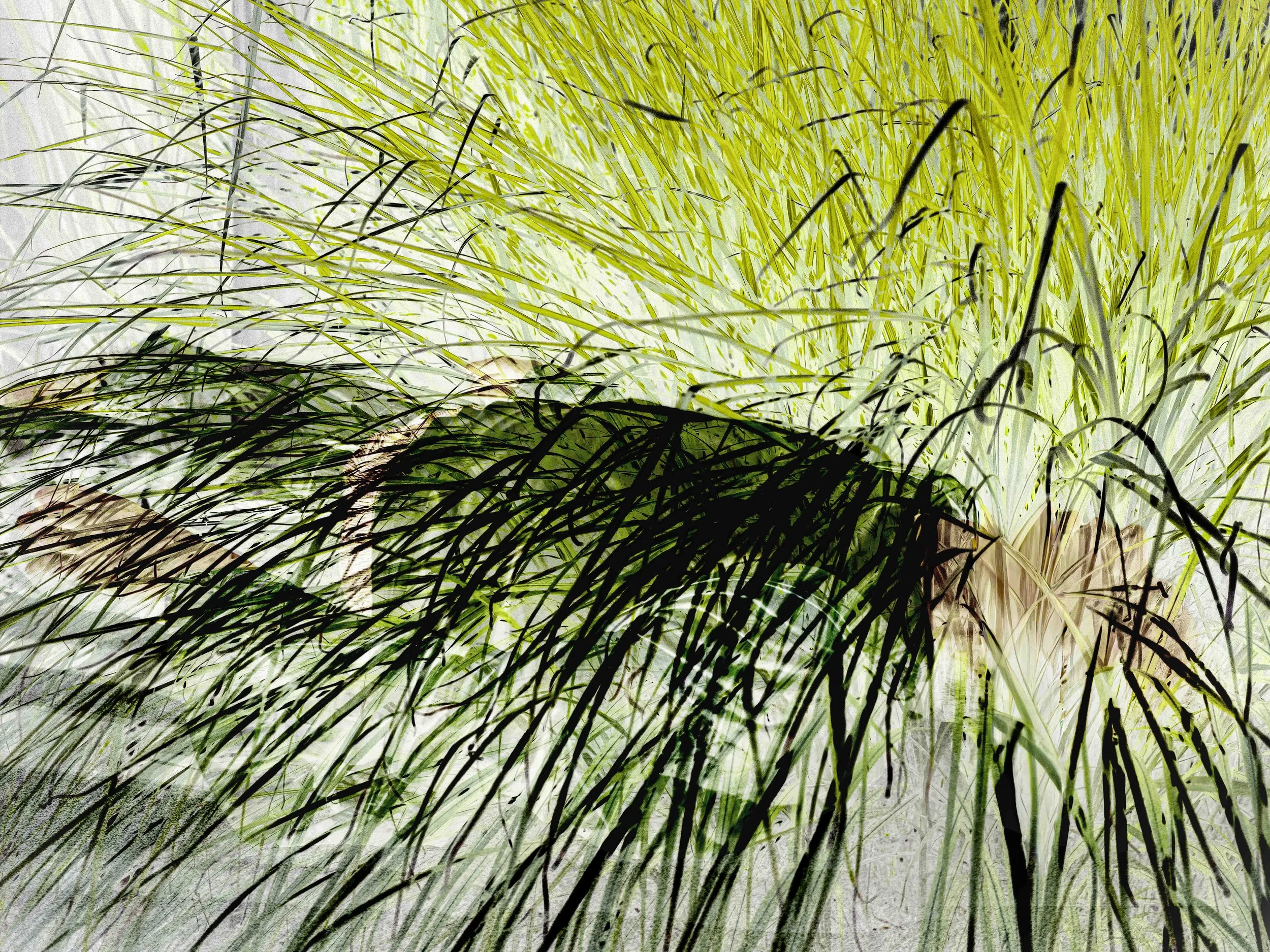 U Homme Végétal 07 01 26-4.jpg