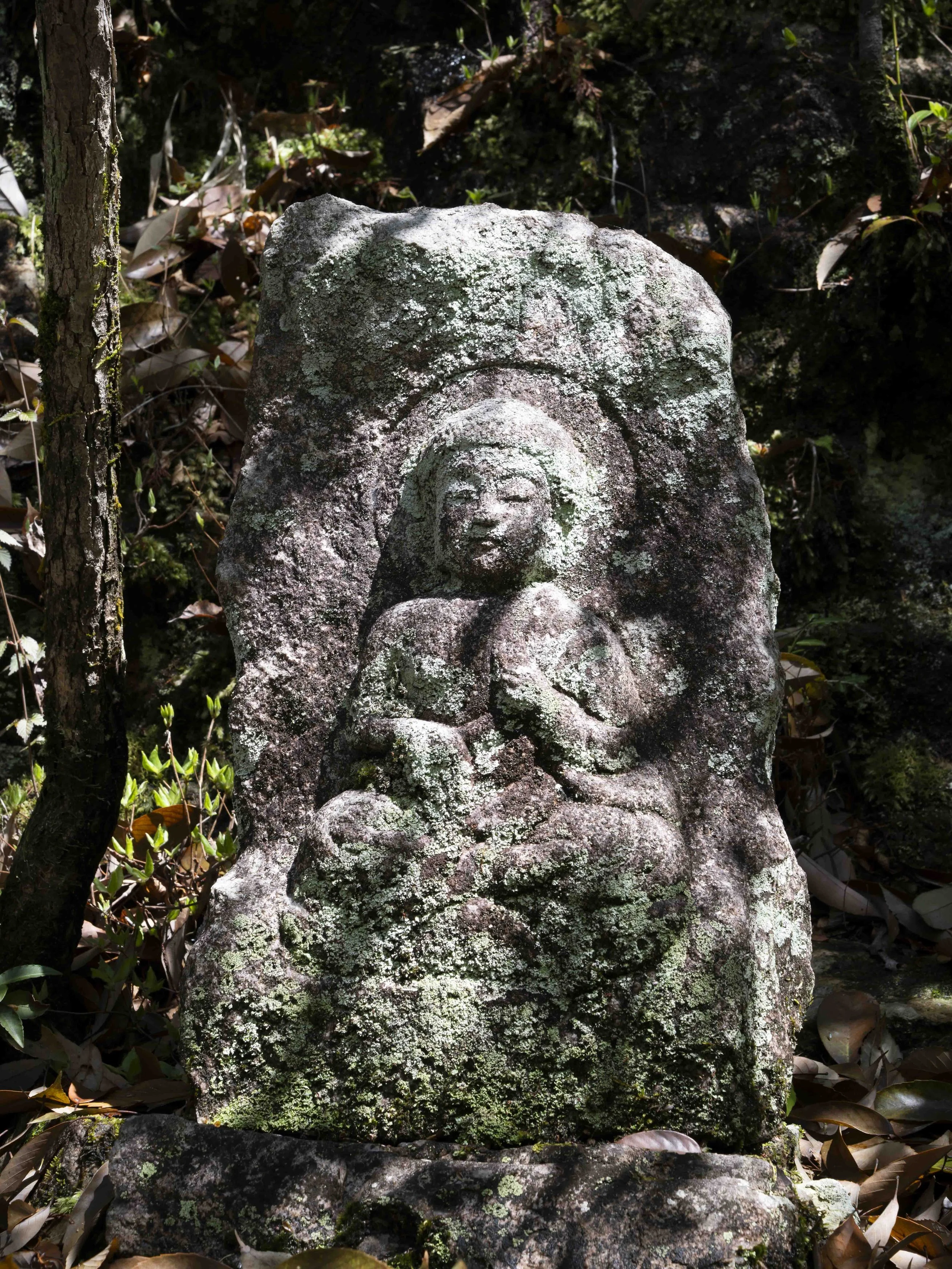 Voyage à l'intérieur-24.jpg