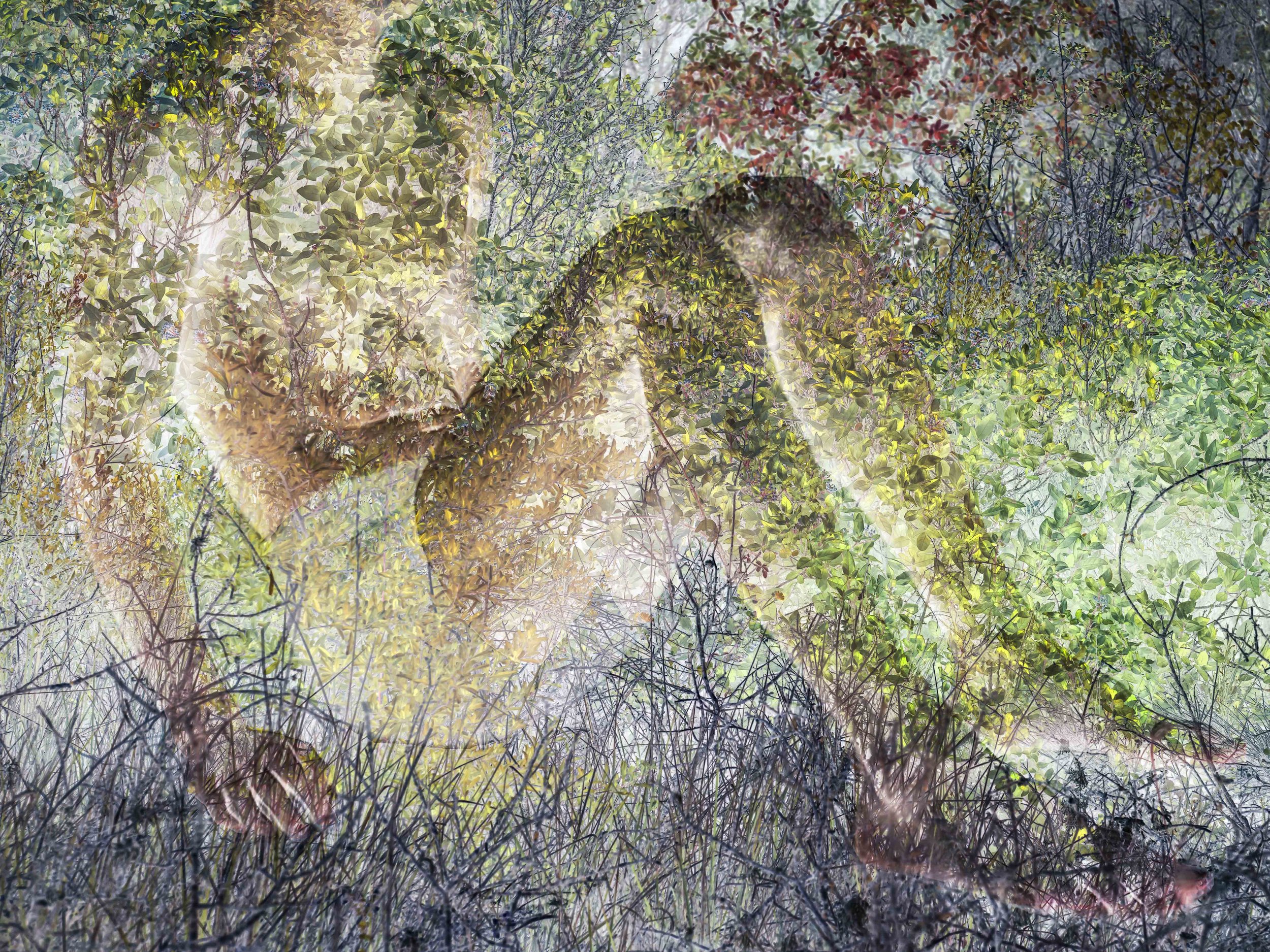 I Homme Végétal 06 01 26-2.jpg