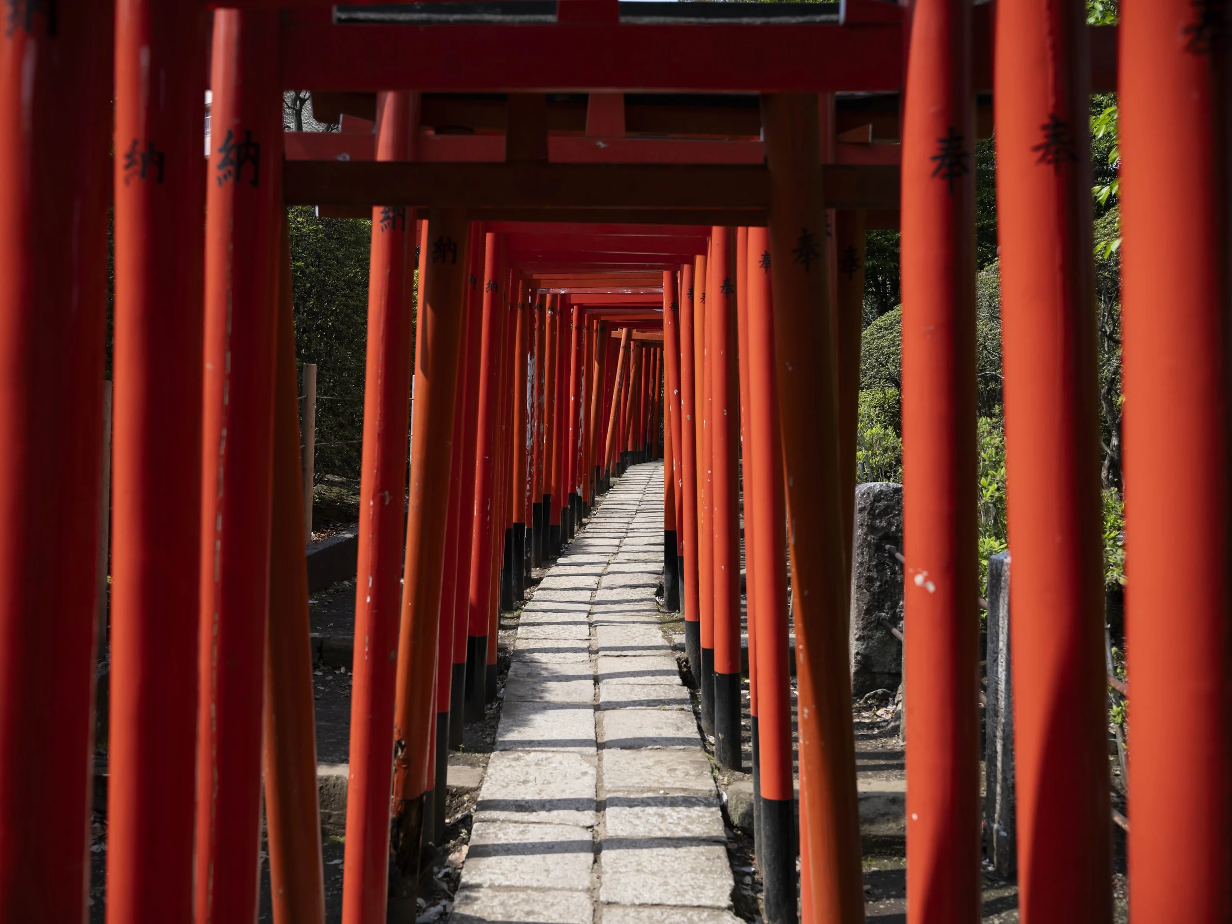 Voyage à l'intérieur.jpg