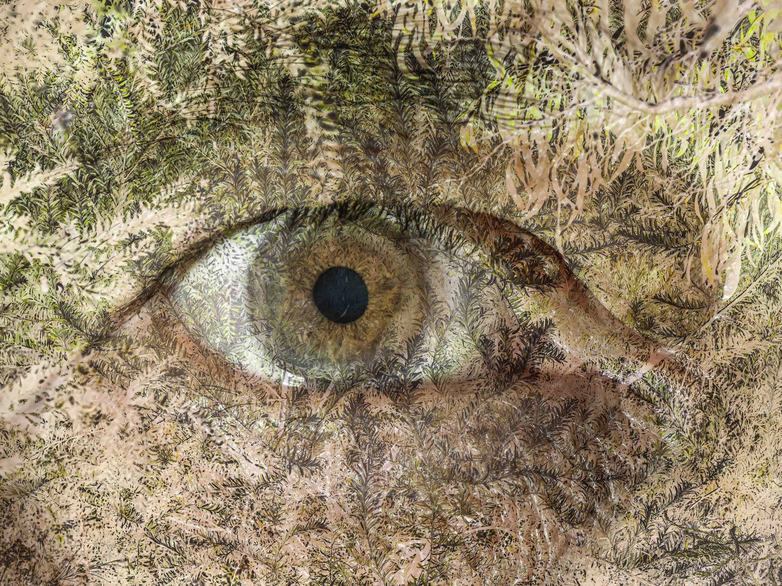 T Homme Végétal 07 01 26-6.jpg