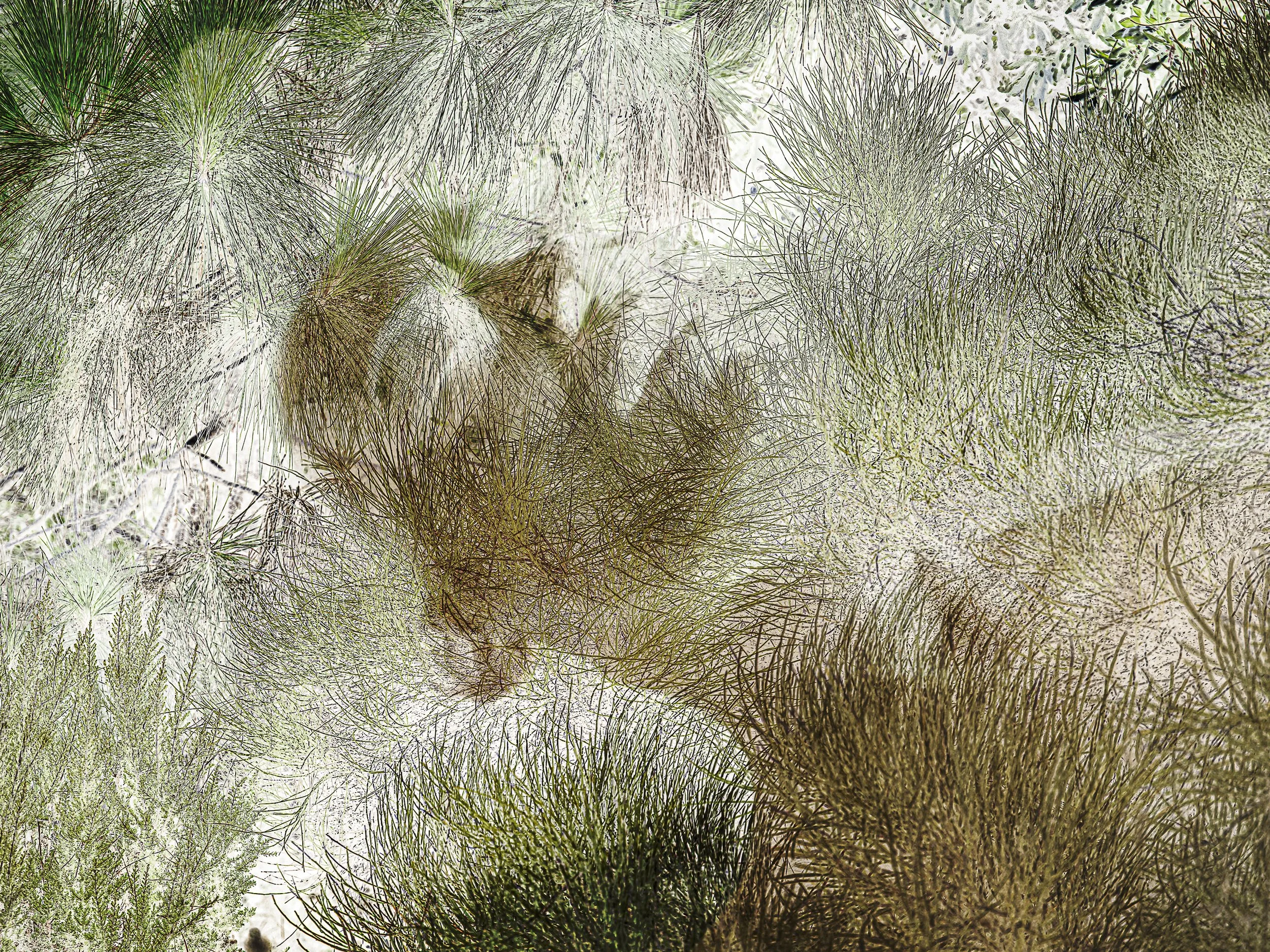 D Homme Végétal 23 12 25-6.jpg