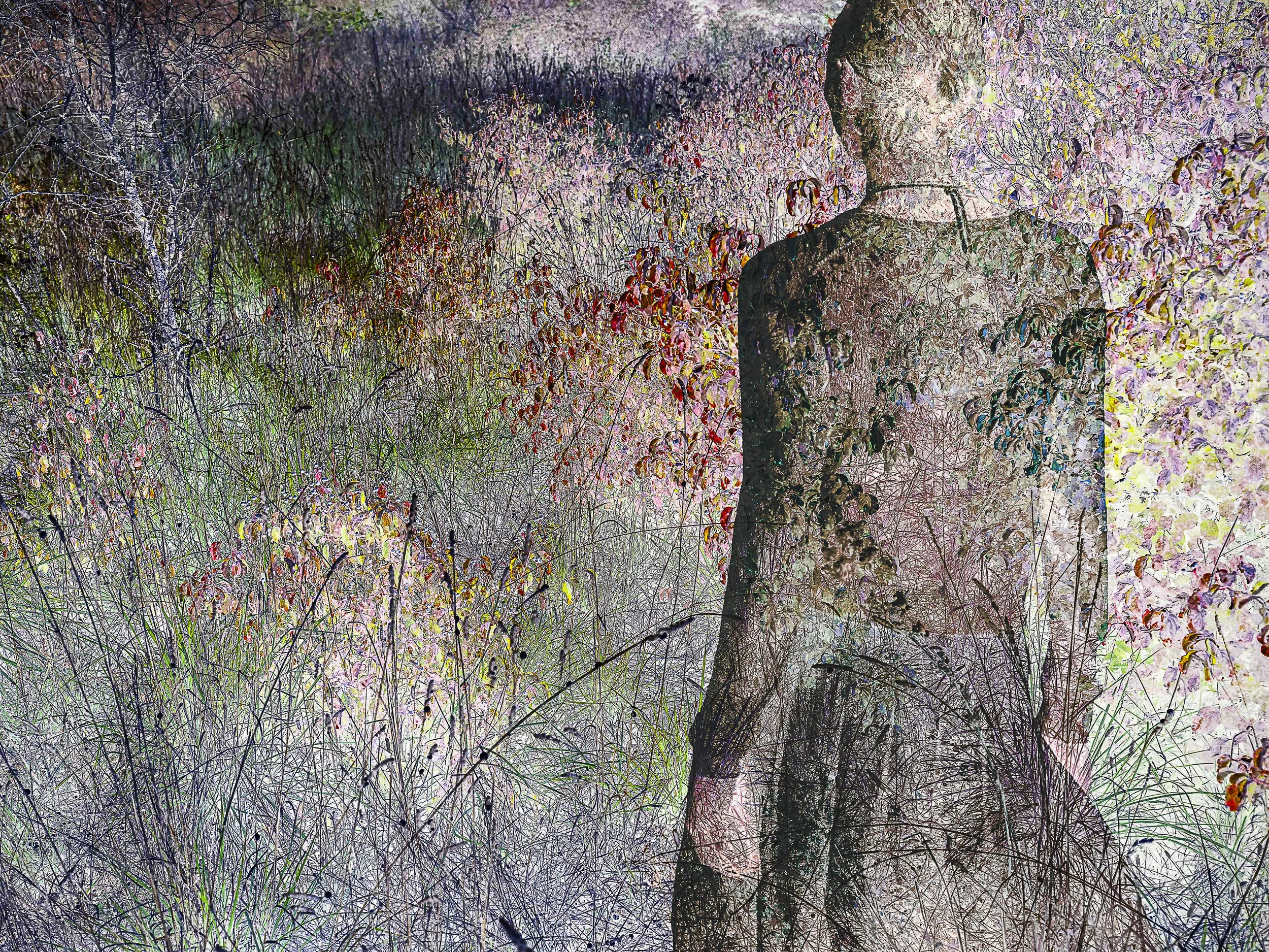 L Homme Végétal 23 12 25-9.jpg