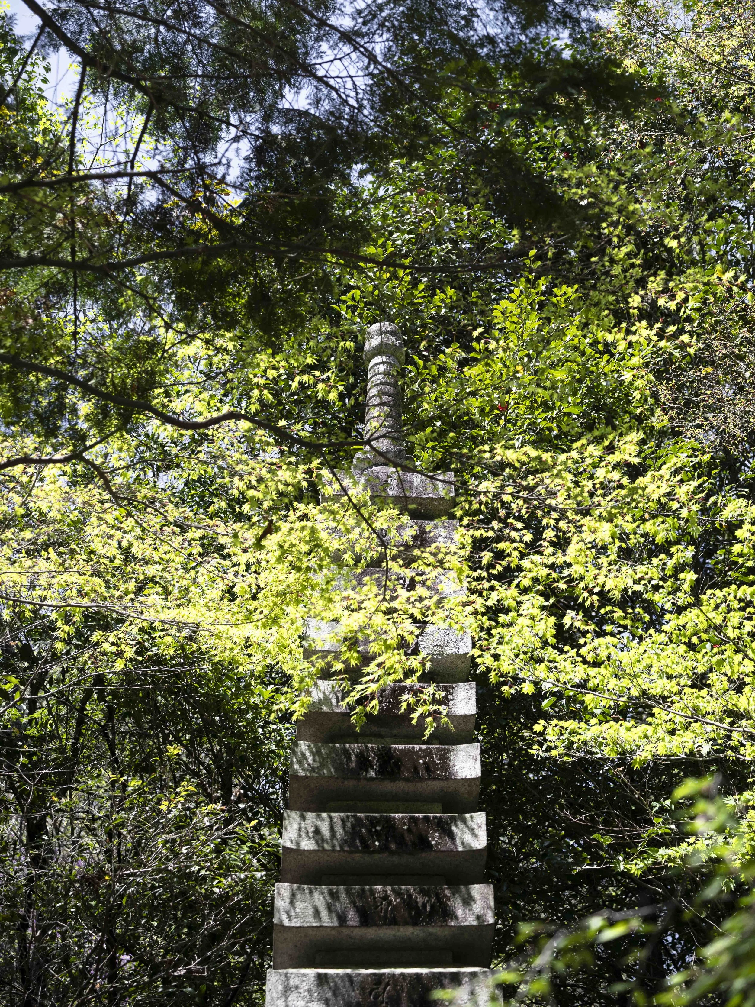 Voyage à l'intérieur-22.jpg