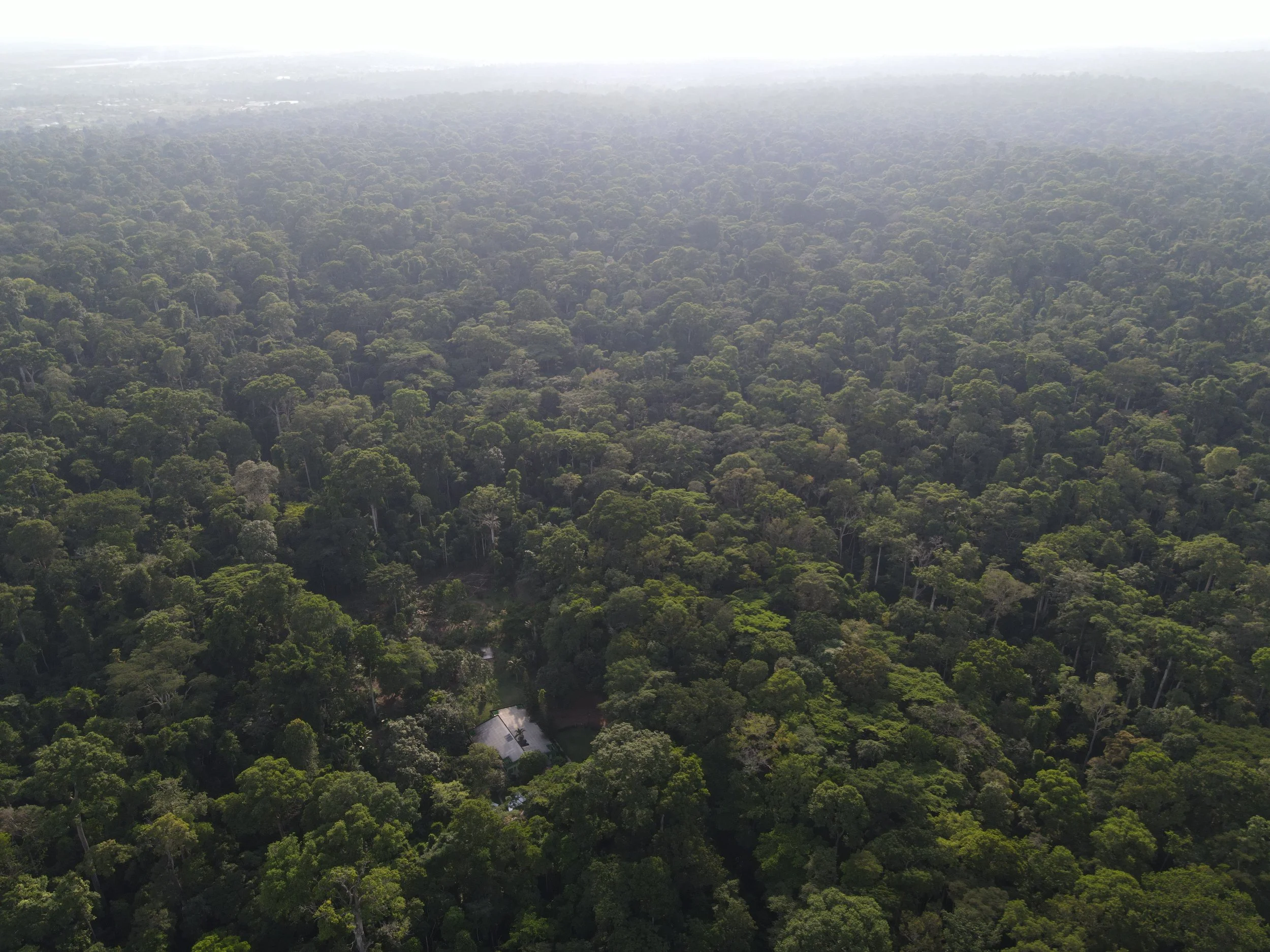 DJI_0119.JPG