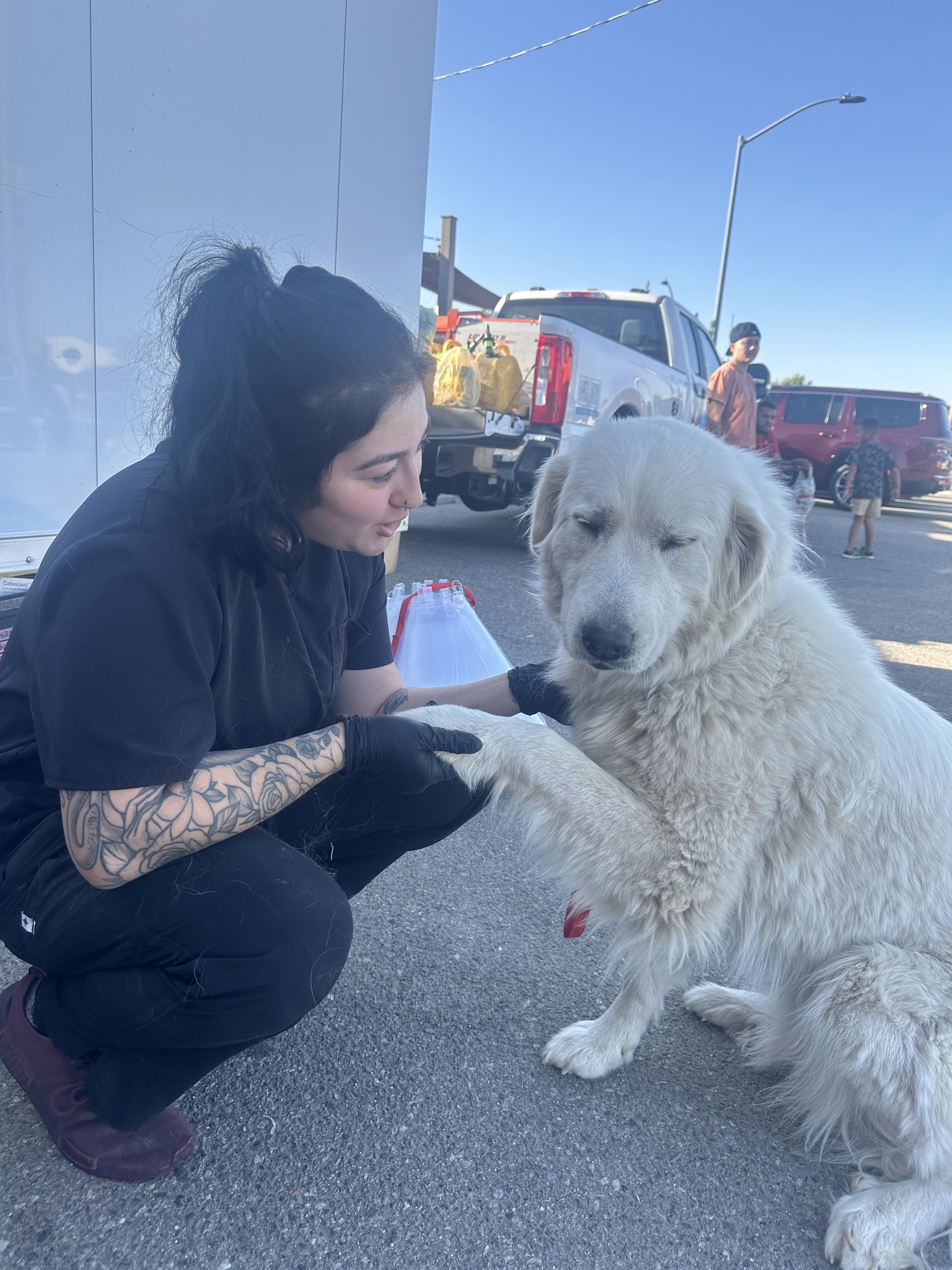 Two days Mobile spay & neuter unit in Bakersfield