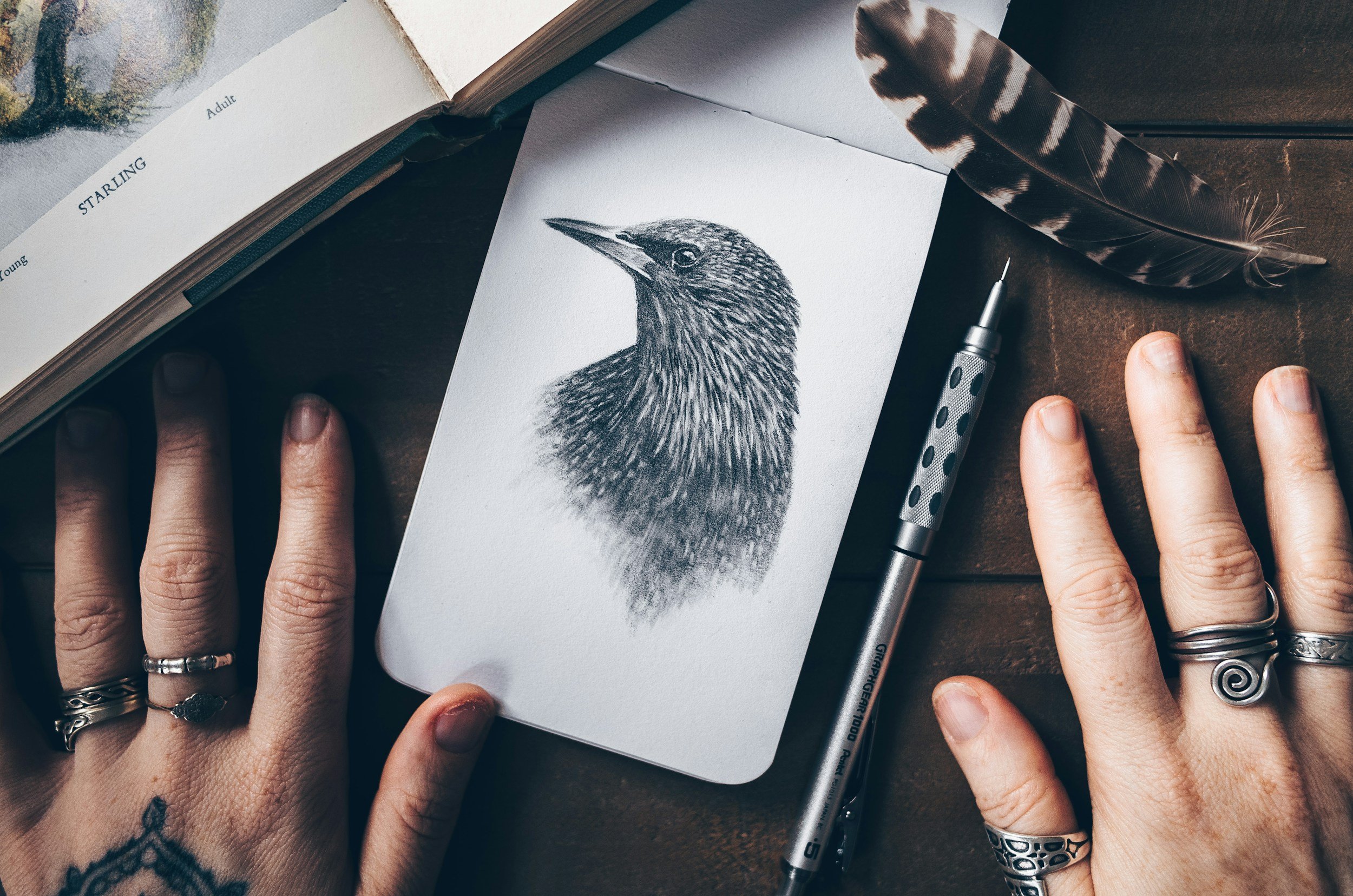 Nature Journaling and Sketching for Birders