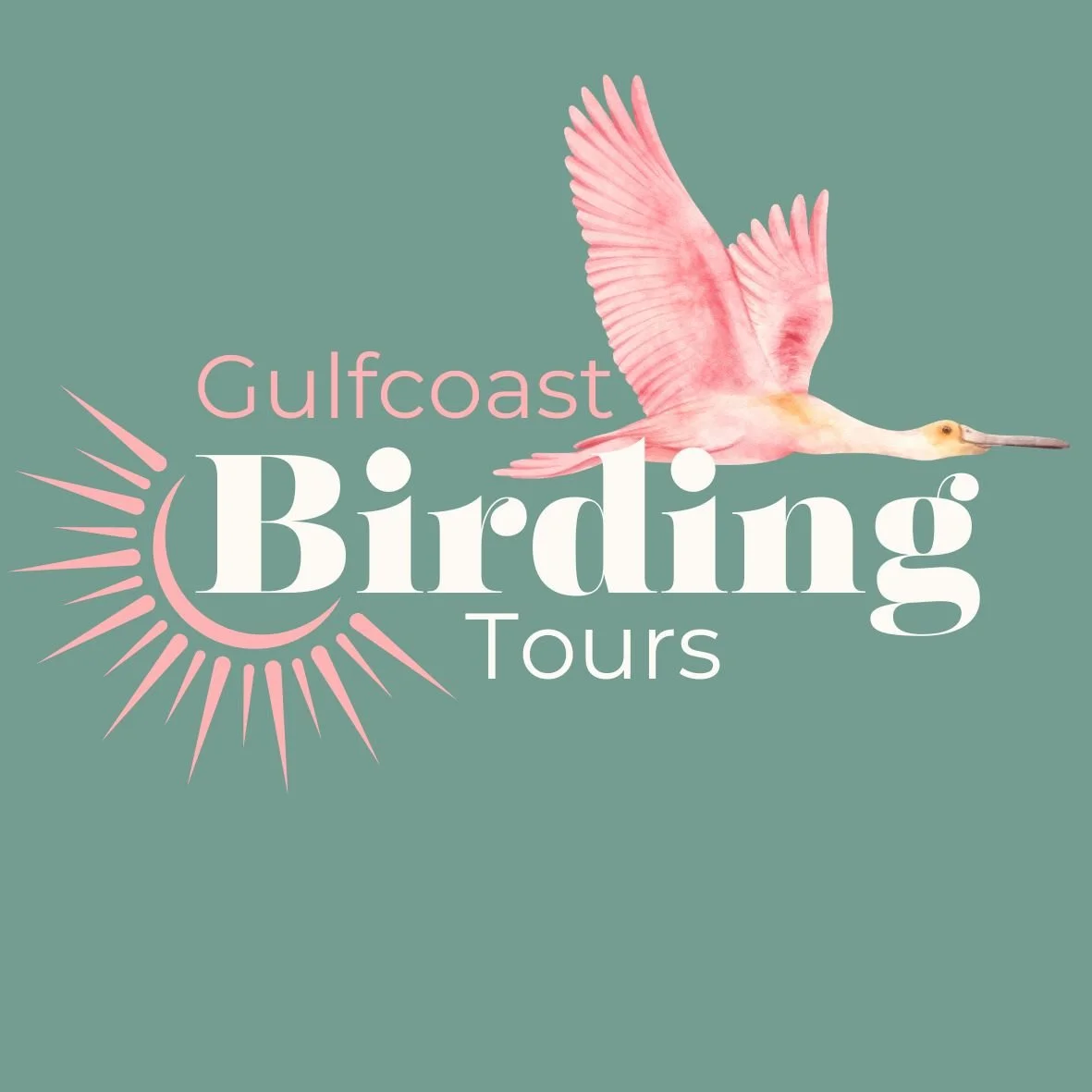 Florida Gulfcoast Birding Tours 