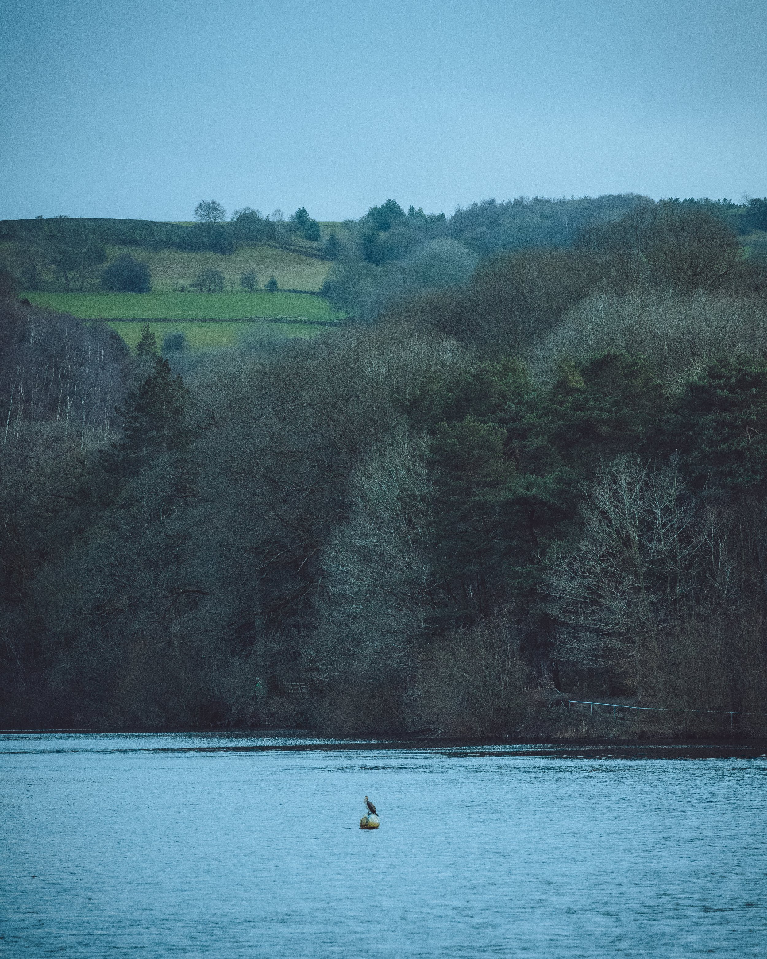 peaks (5 of 7).jpg