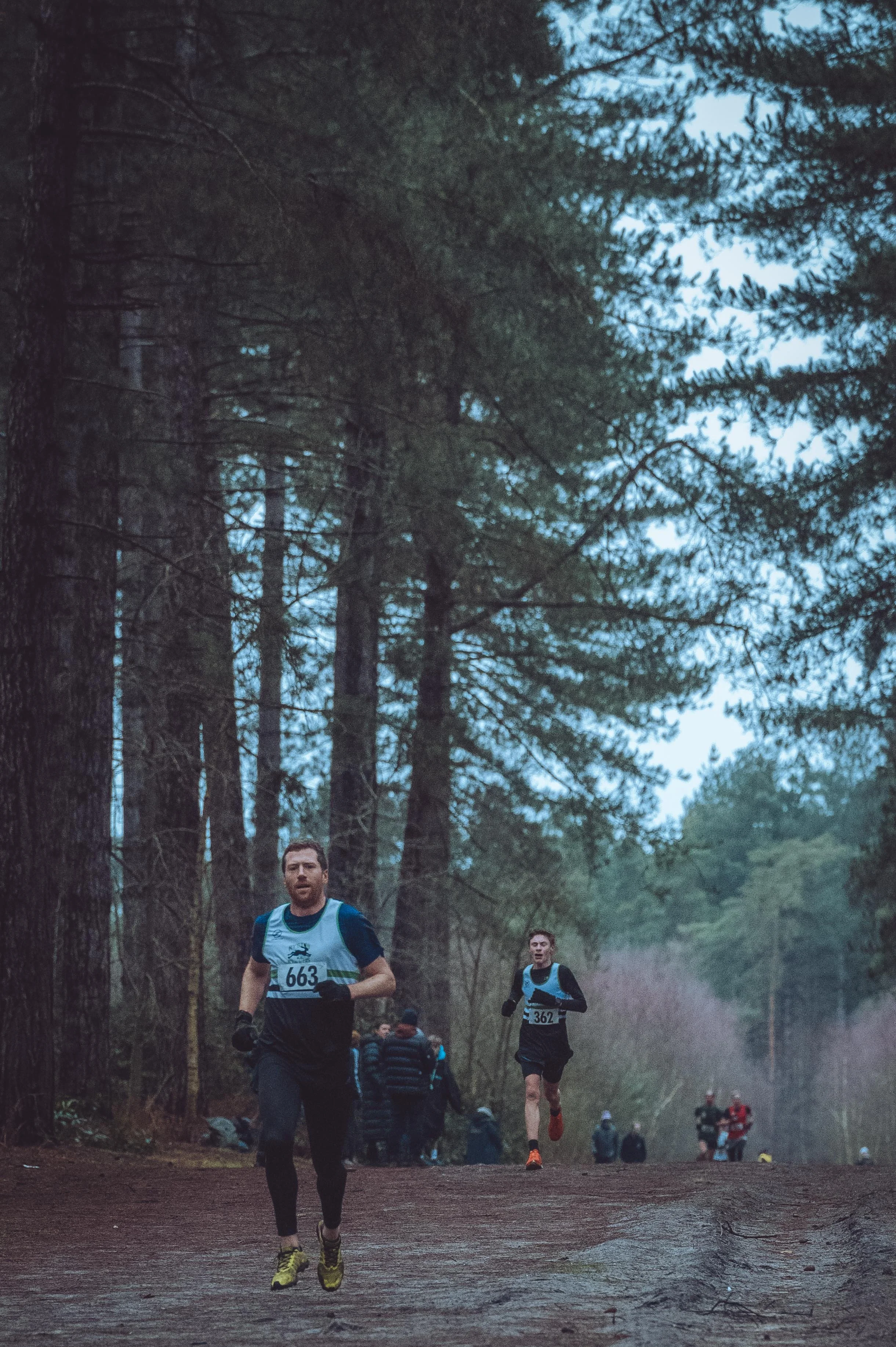 shouldham xc 11-01-26-346.jpg