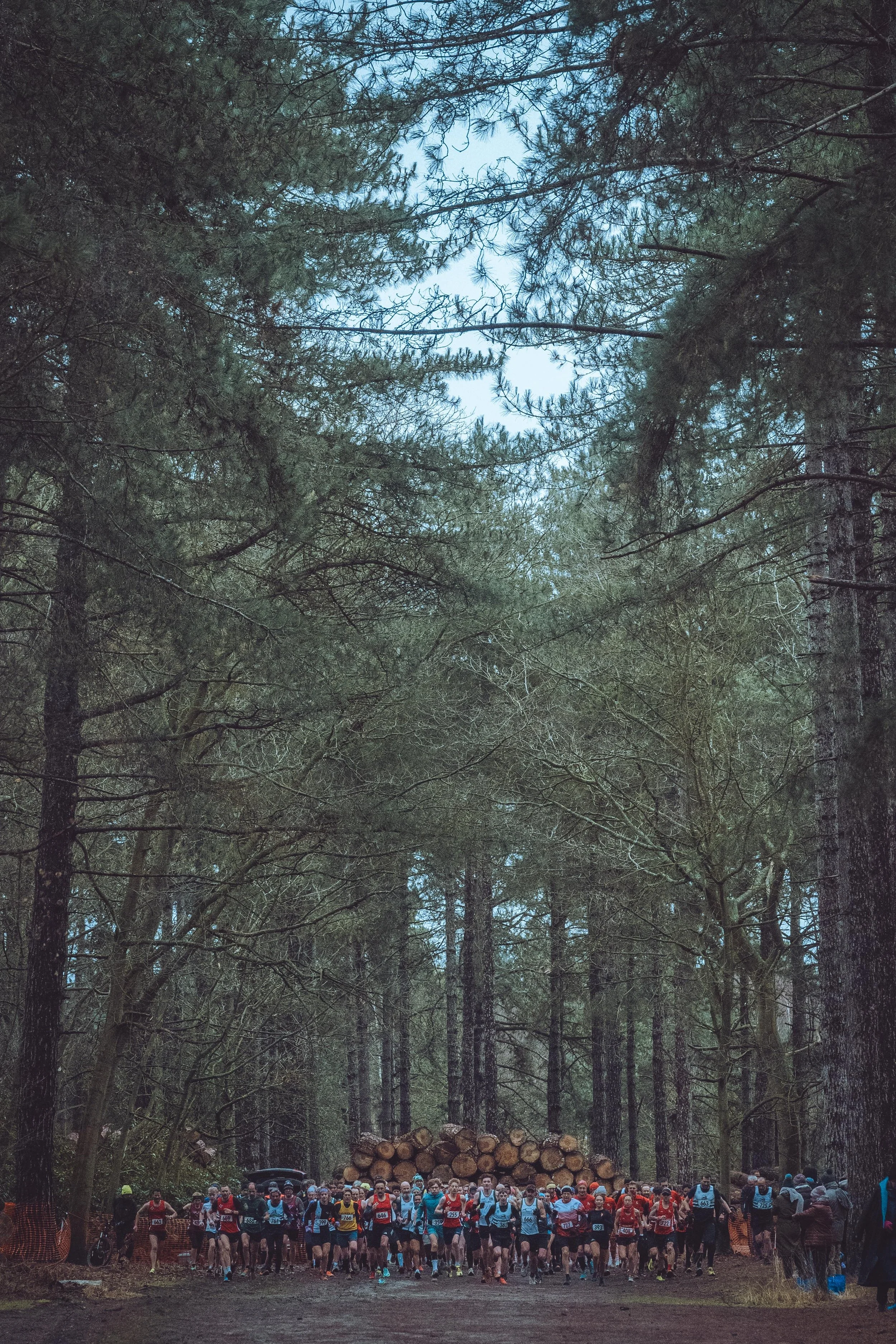 shouldham xc 11-01-26-342.jpg